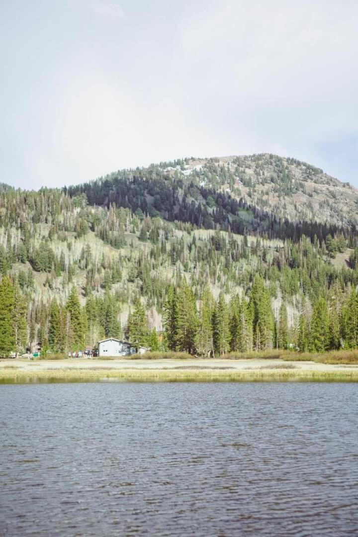 Photo 40