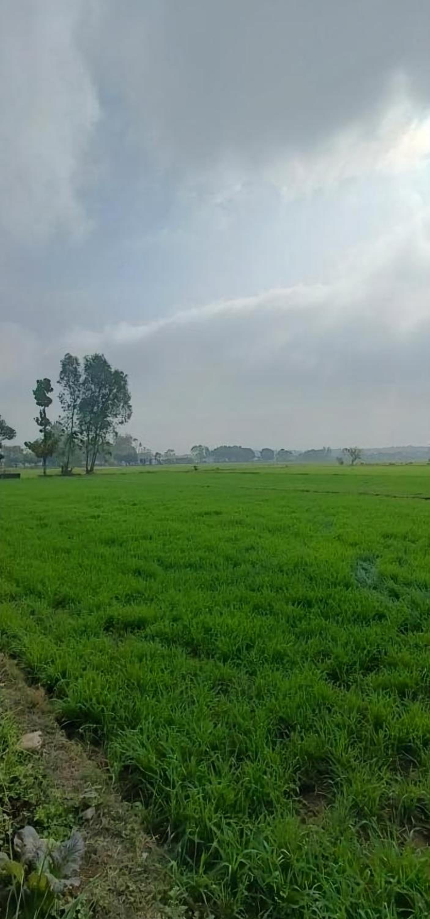 Jim Corbett Home stay view 4