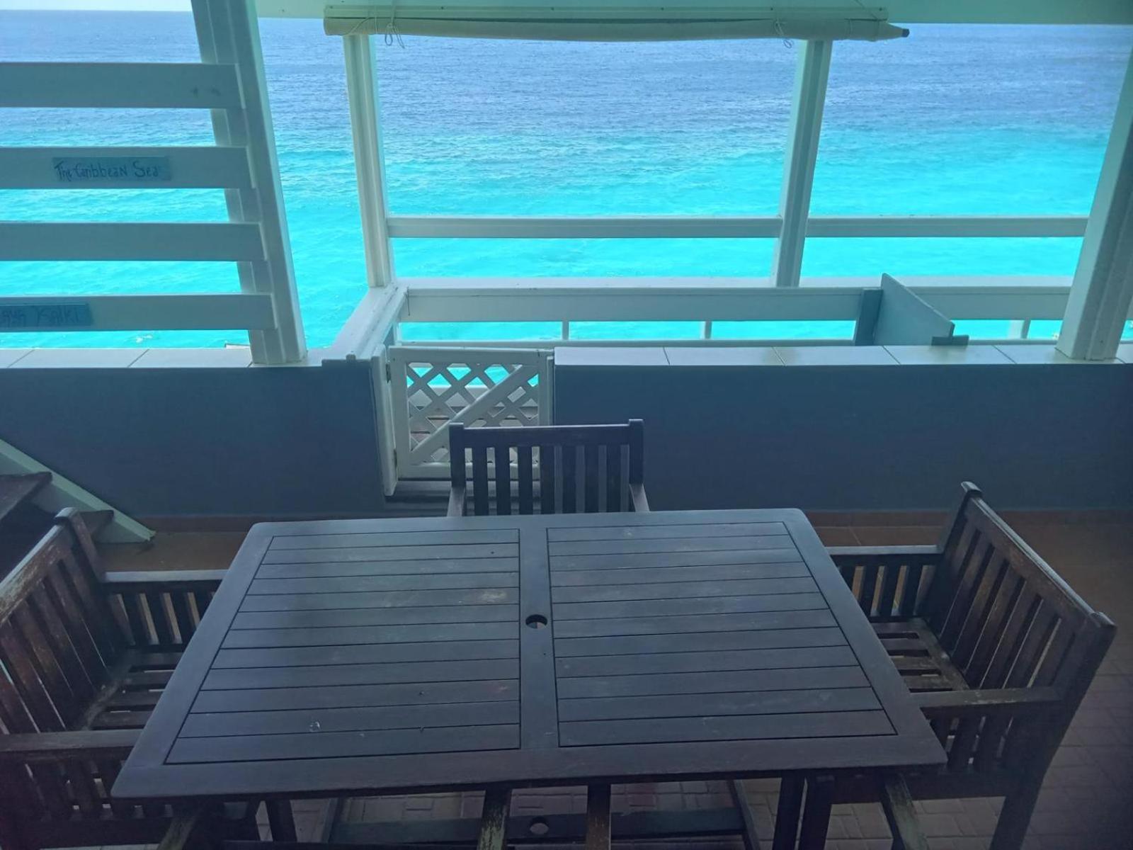 Oasis Of Your Dreams