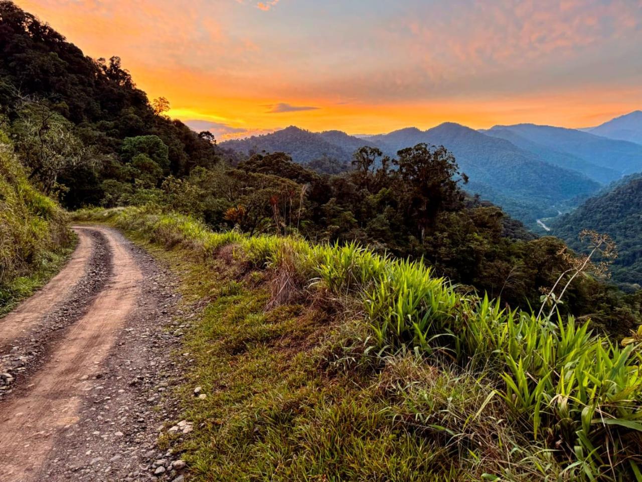 Bosque Tapantí, cerca del PN Tapantí en Orosí, Cartago, Costa Rica