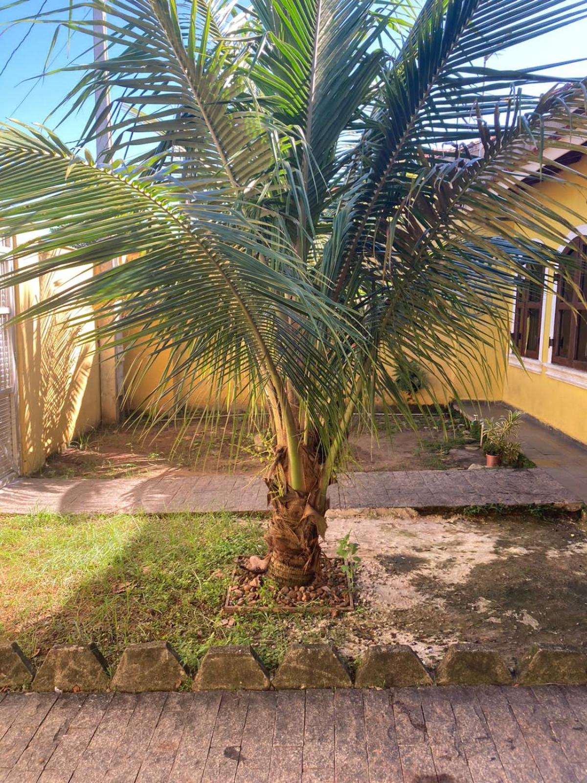 Casa em Mongaguá