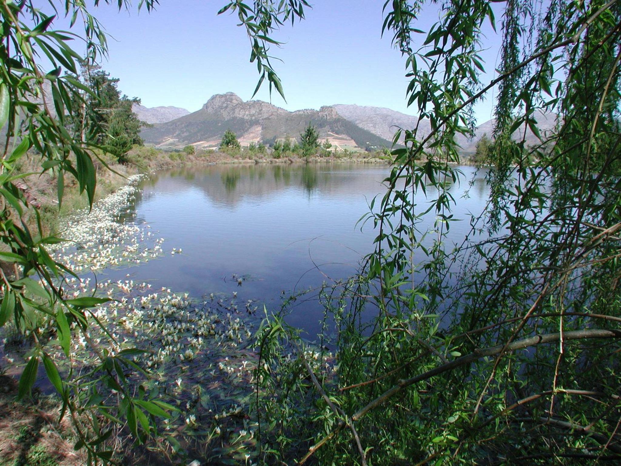 Photo 49