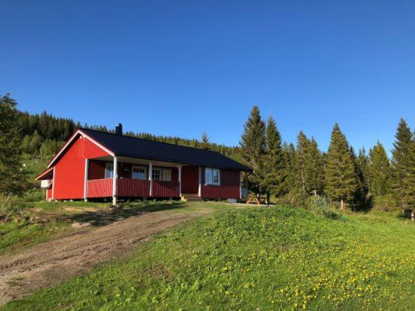 Nyrestaurert og koselig hytte ved Skjelbredvatnet.