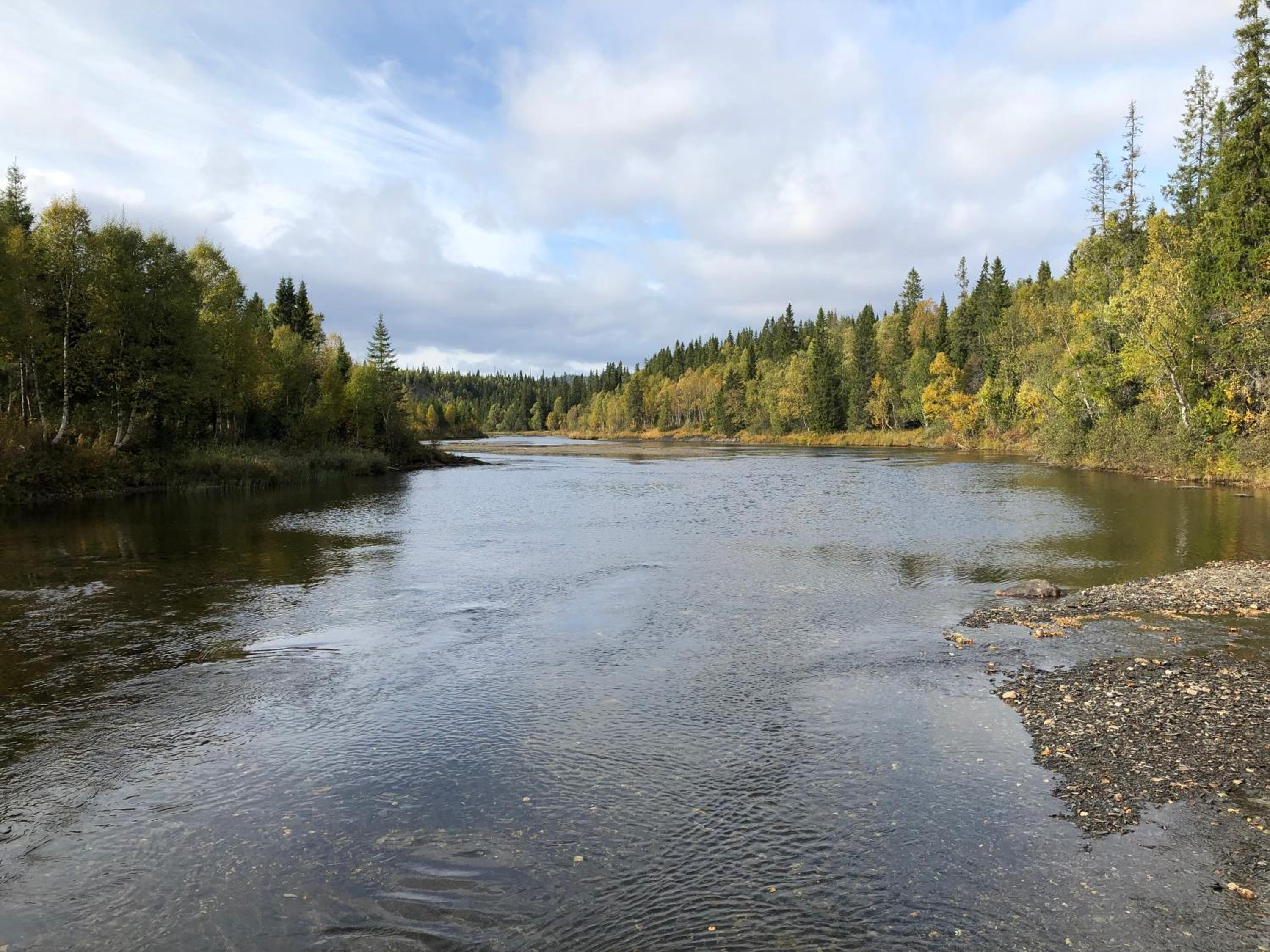Nyrestaurert og koselig hytte ved Skjelbredvatnet.