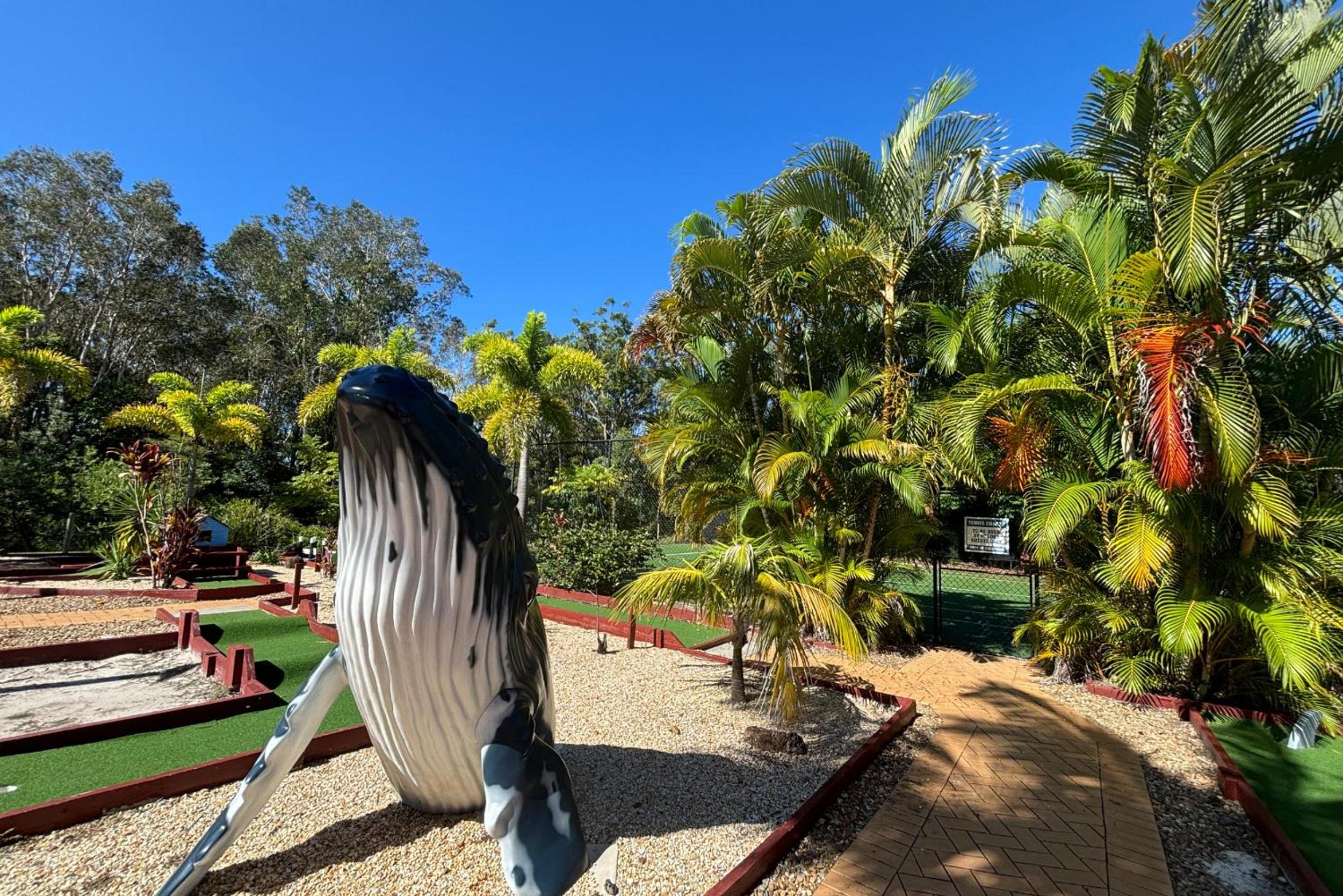 activities & amenities