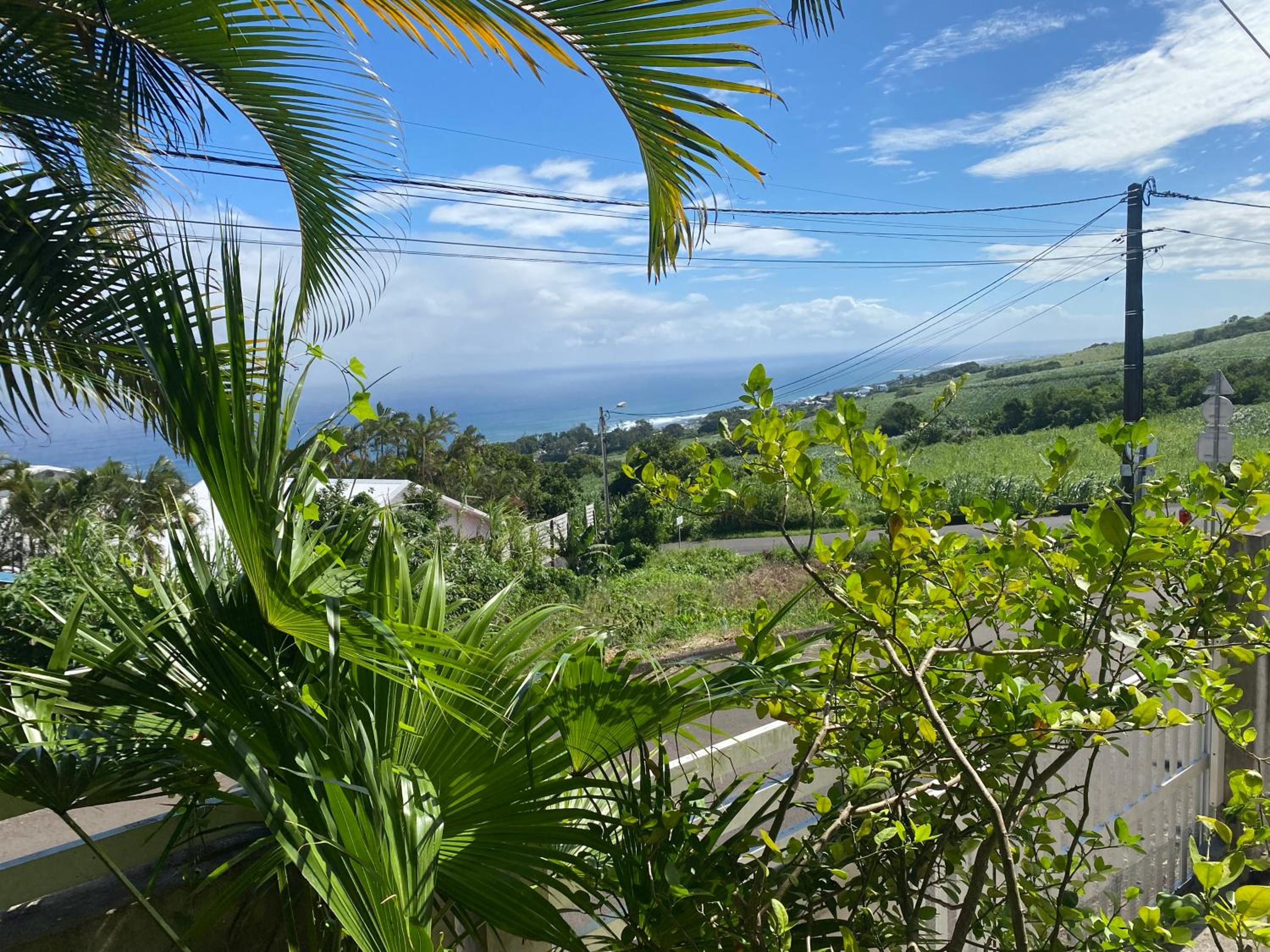 La Villa Des Oliviers chambres d hôtes view 5