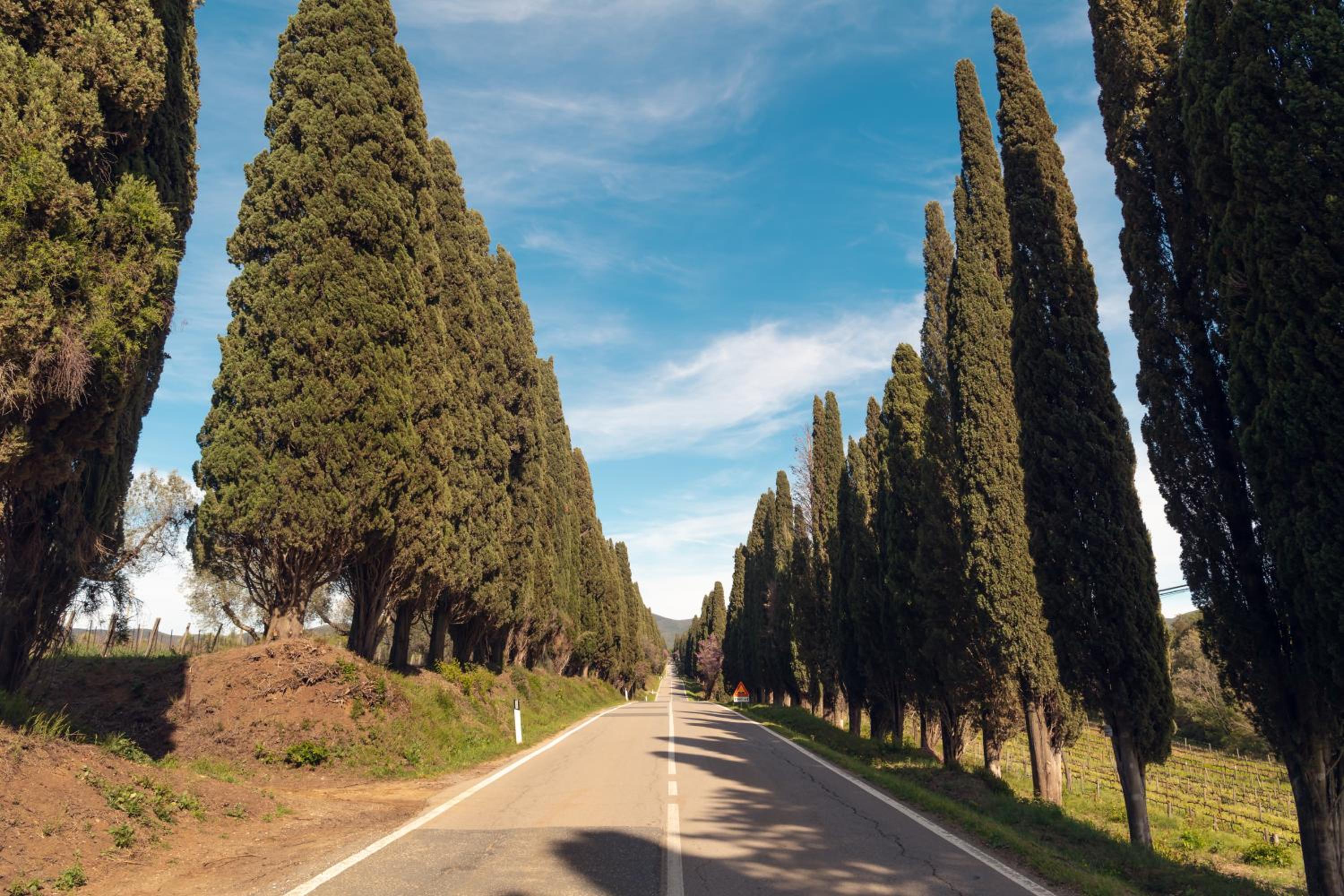 Bolgheri Countryhouse