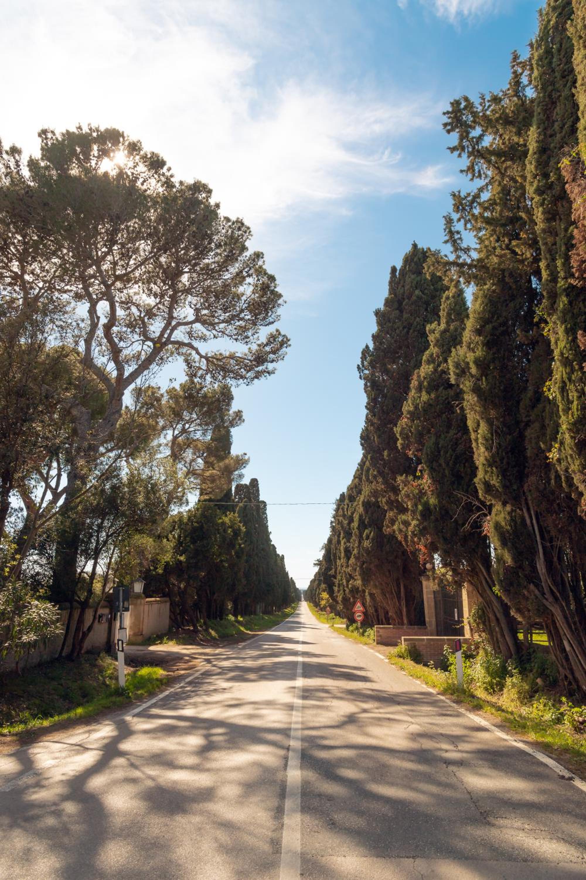 Bolgheri Countryhouse