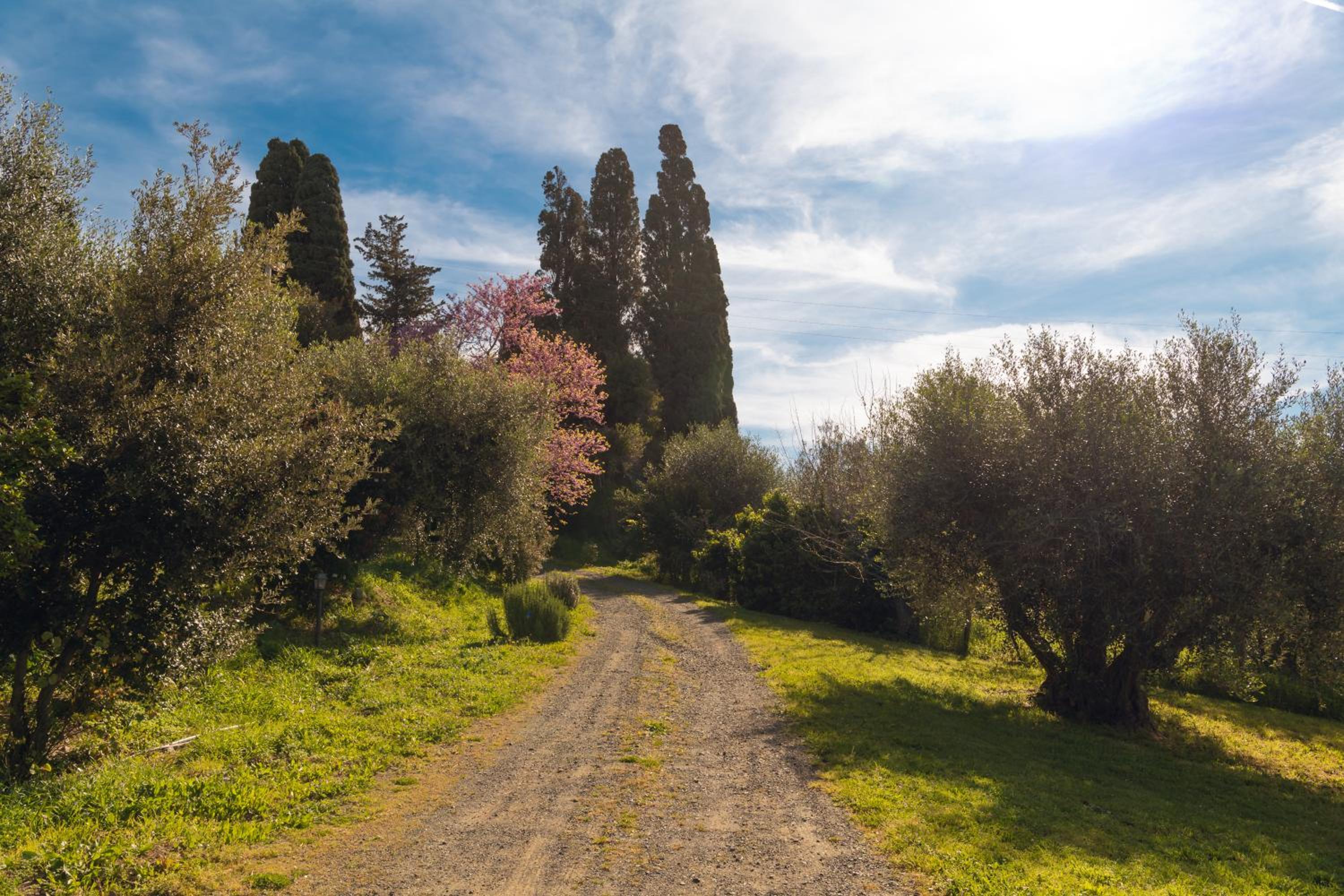 Bolgheri Countryhouse
