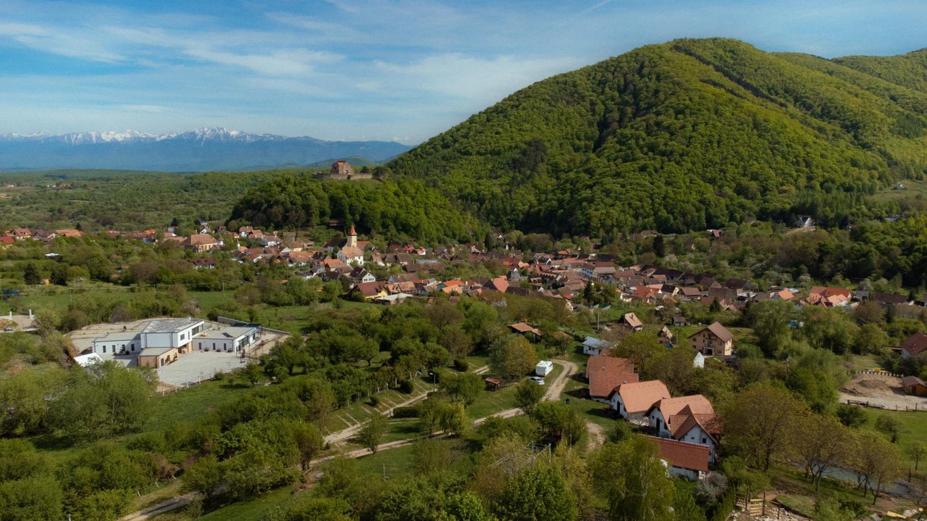 House Jakob Camping Ananas Cisnadioara
