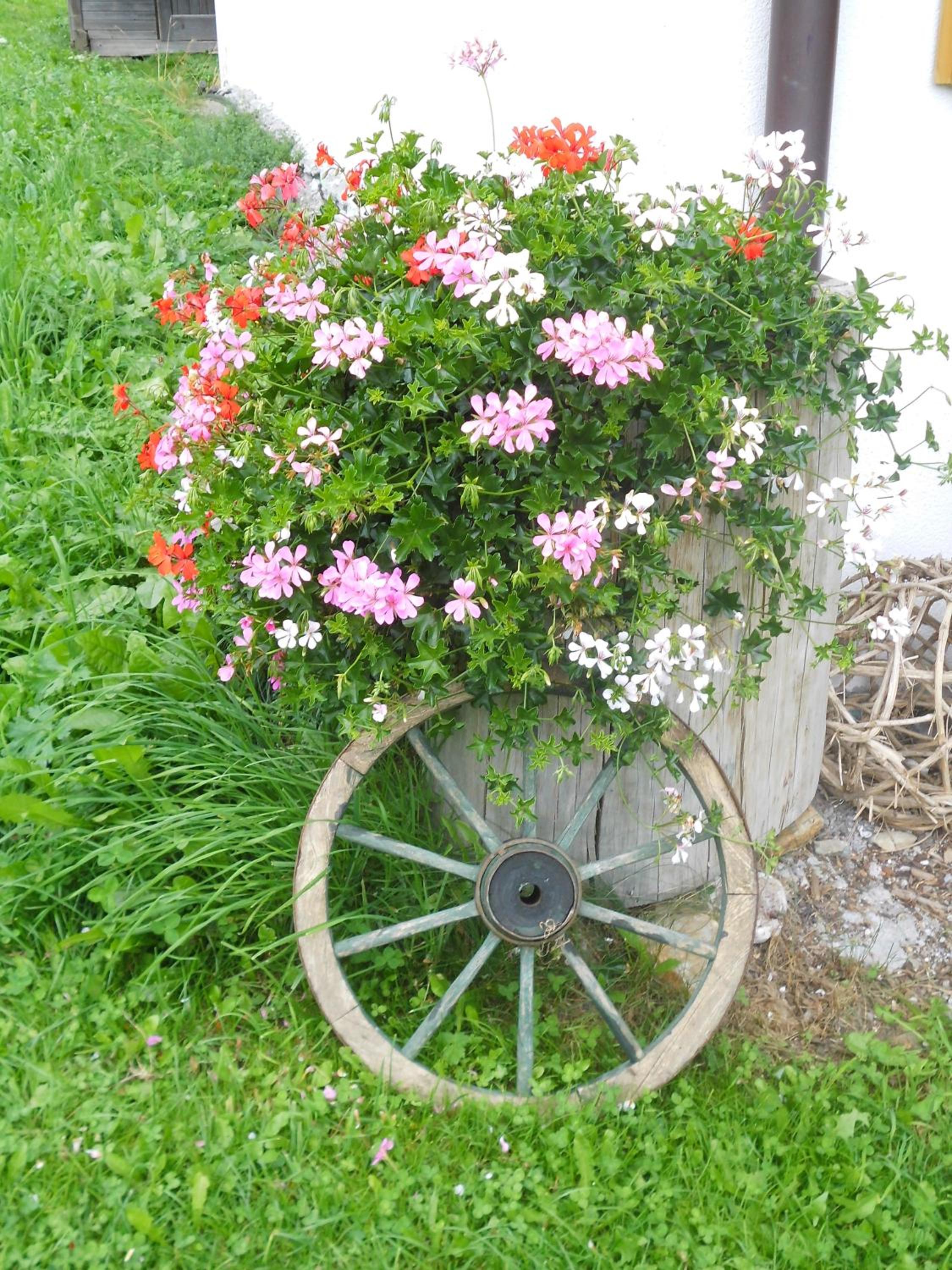 Photo 29