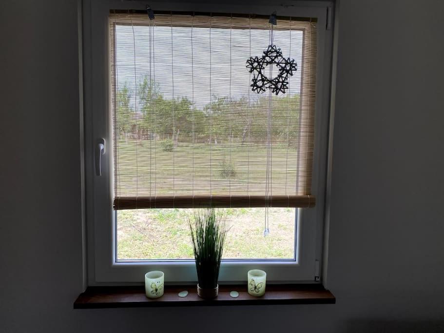House sunlight