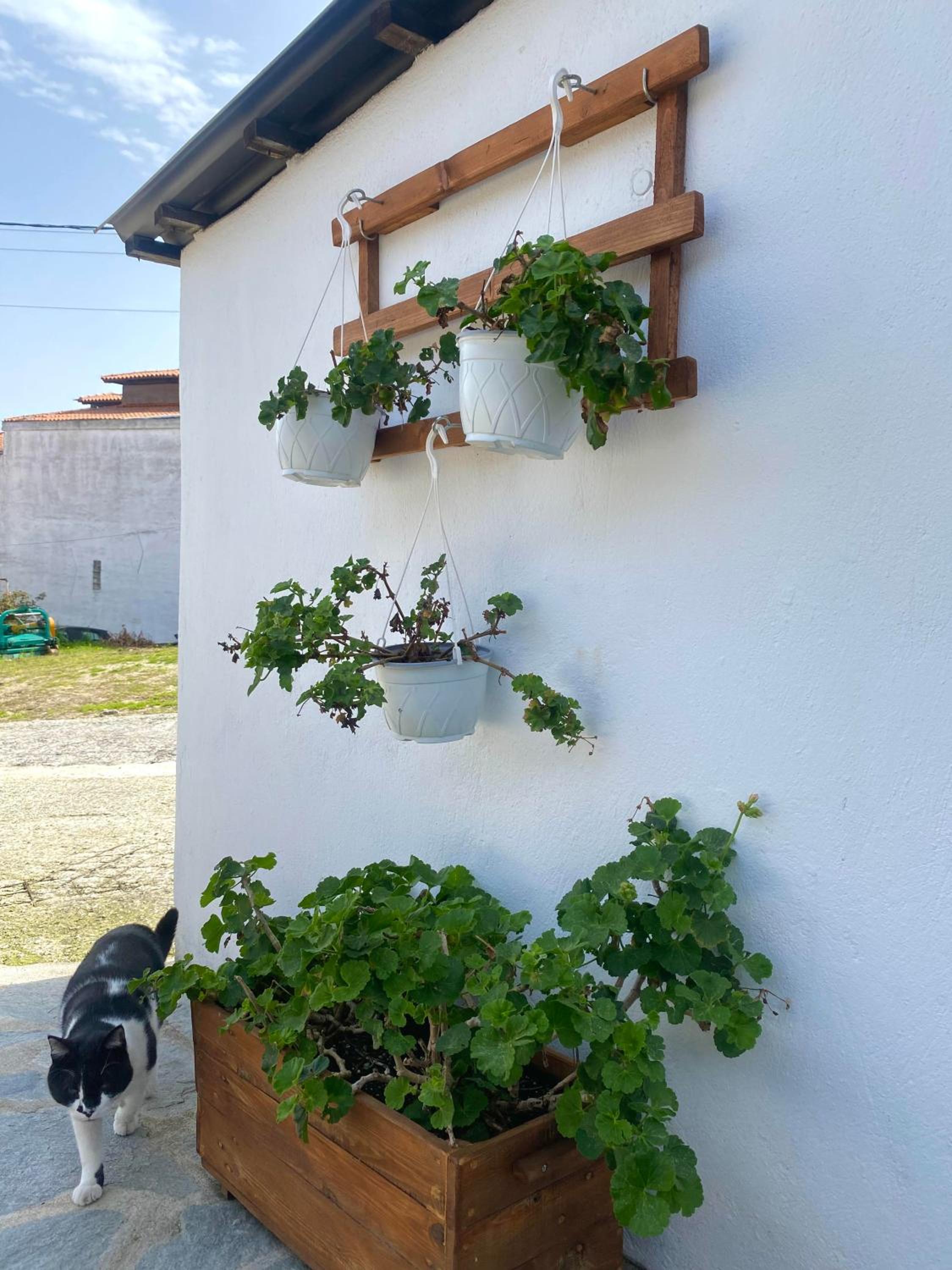 The Garden Studio en Kriopigi — other