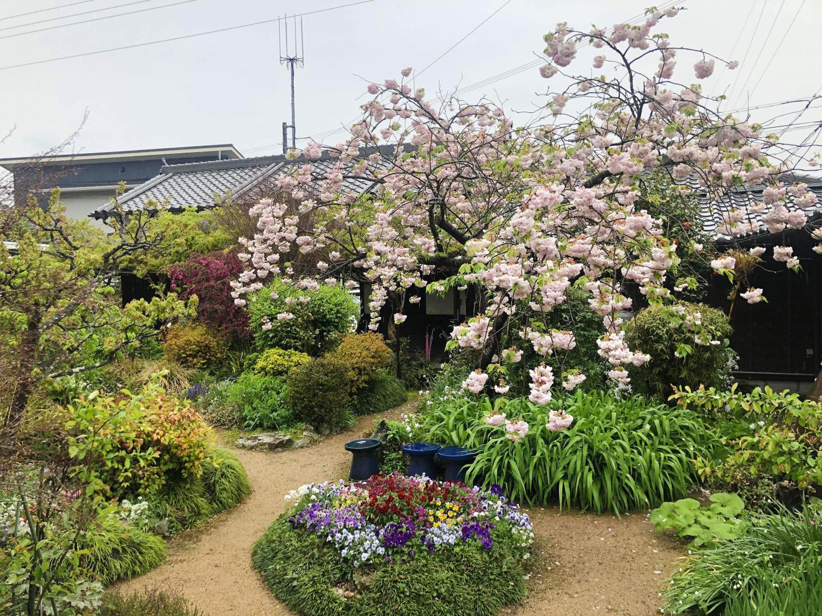 Photo 40