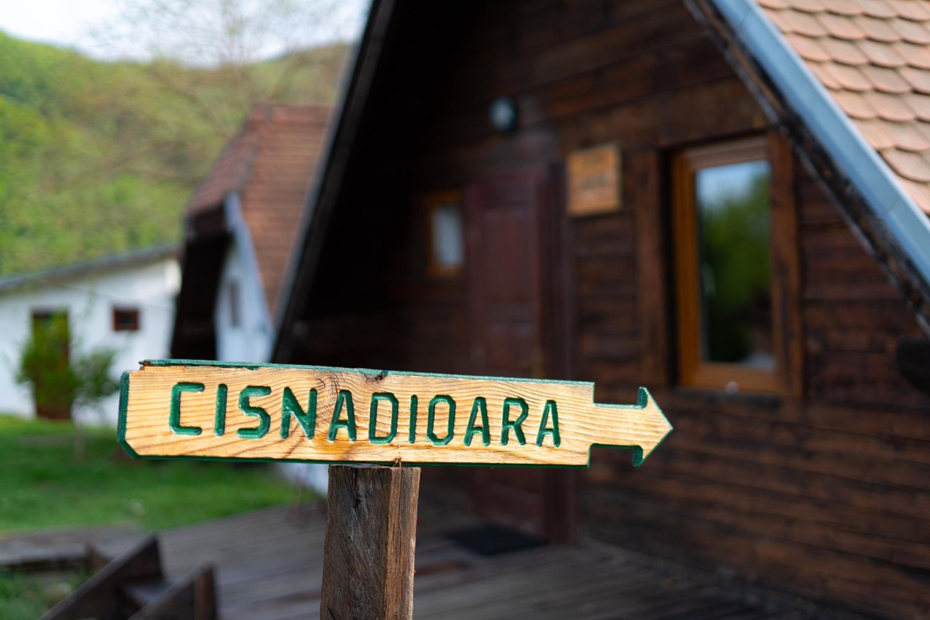 House Yvonne Camping Ananas Cisnadioara