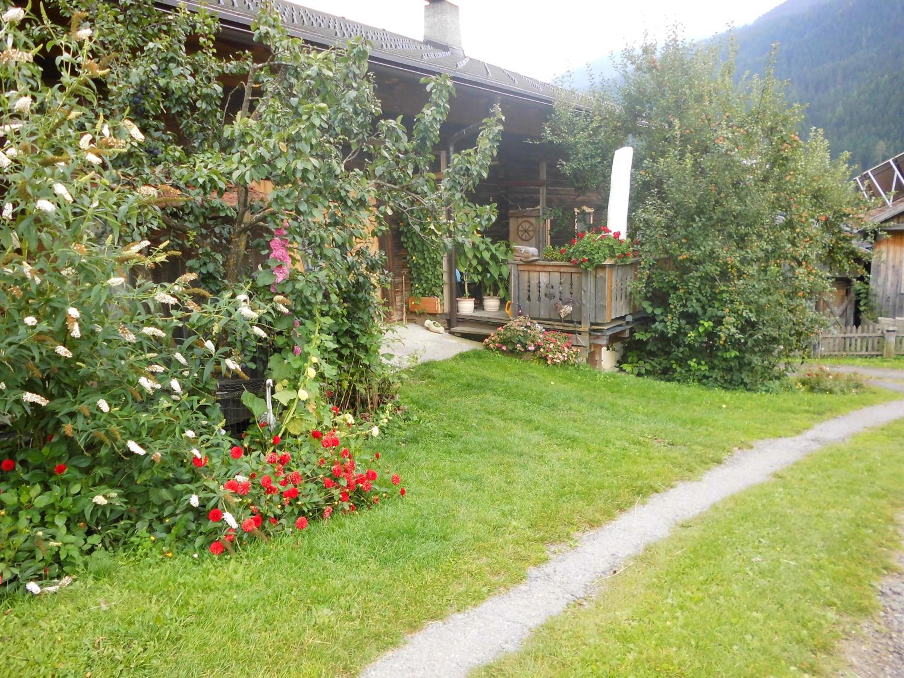 Photo 31