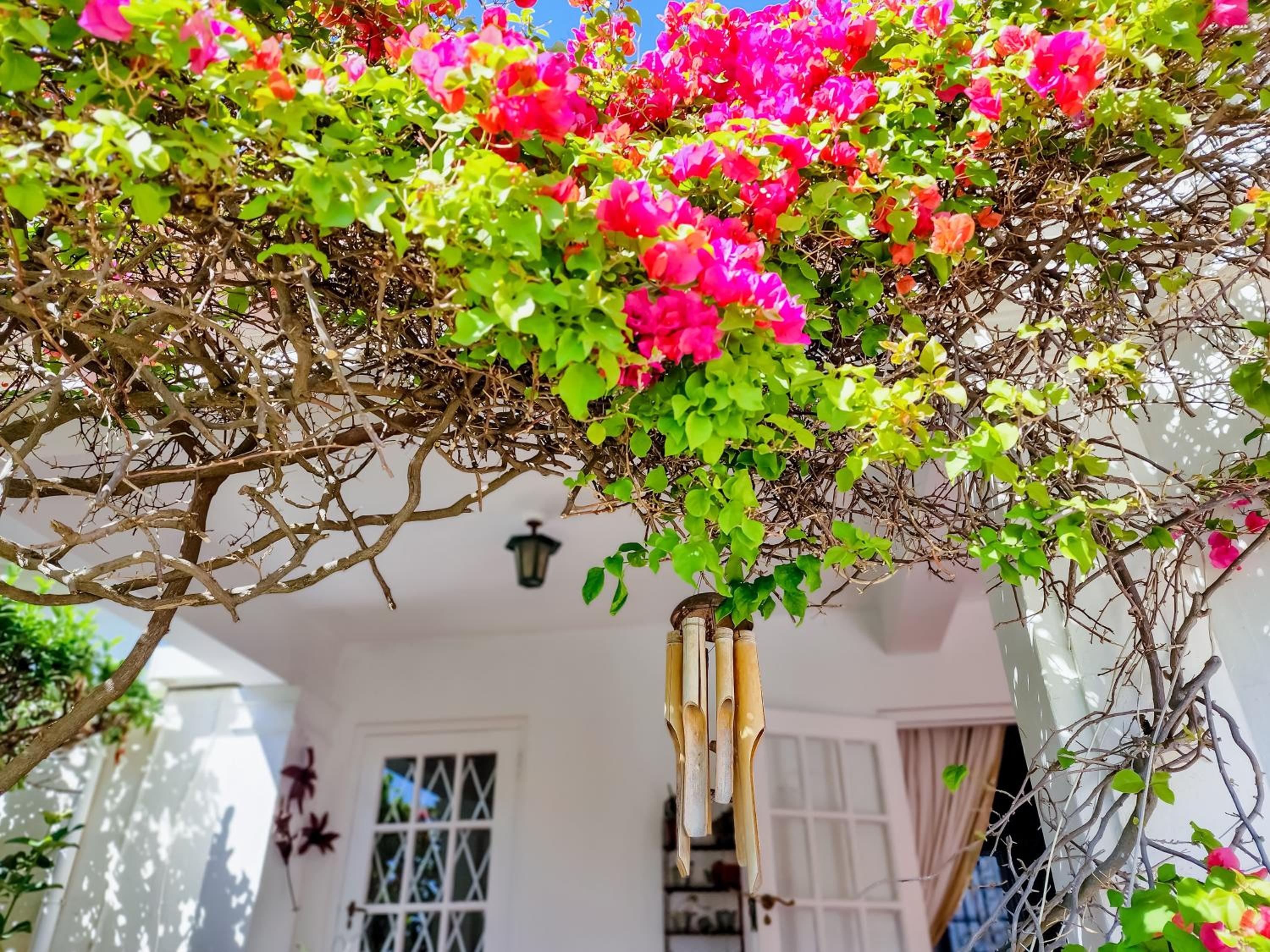 Charming Family Home