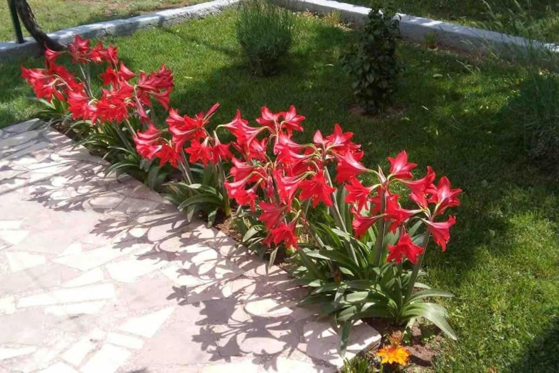 Holiday Home Matija