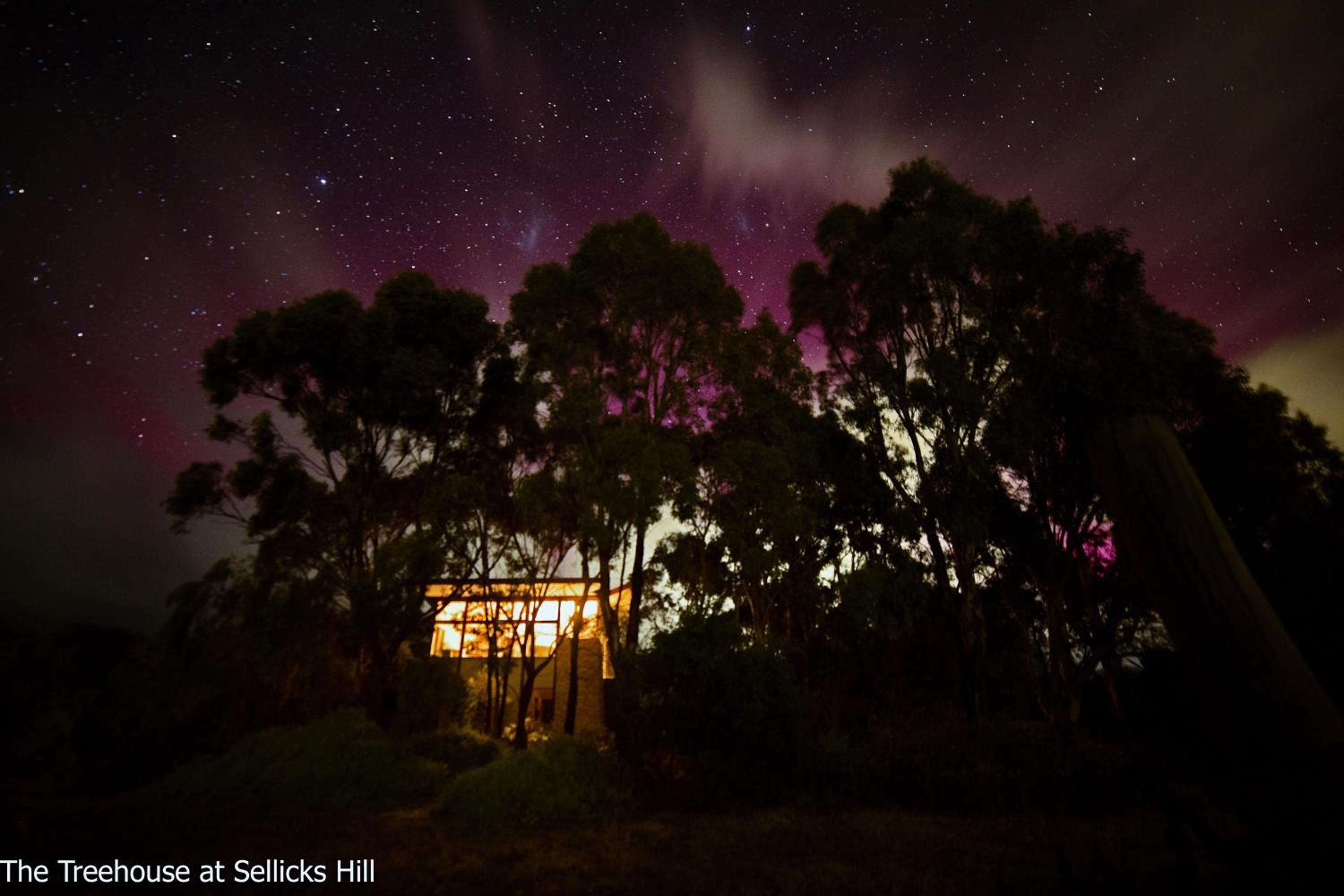 The Treehouse at Sellicks Hill