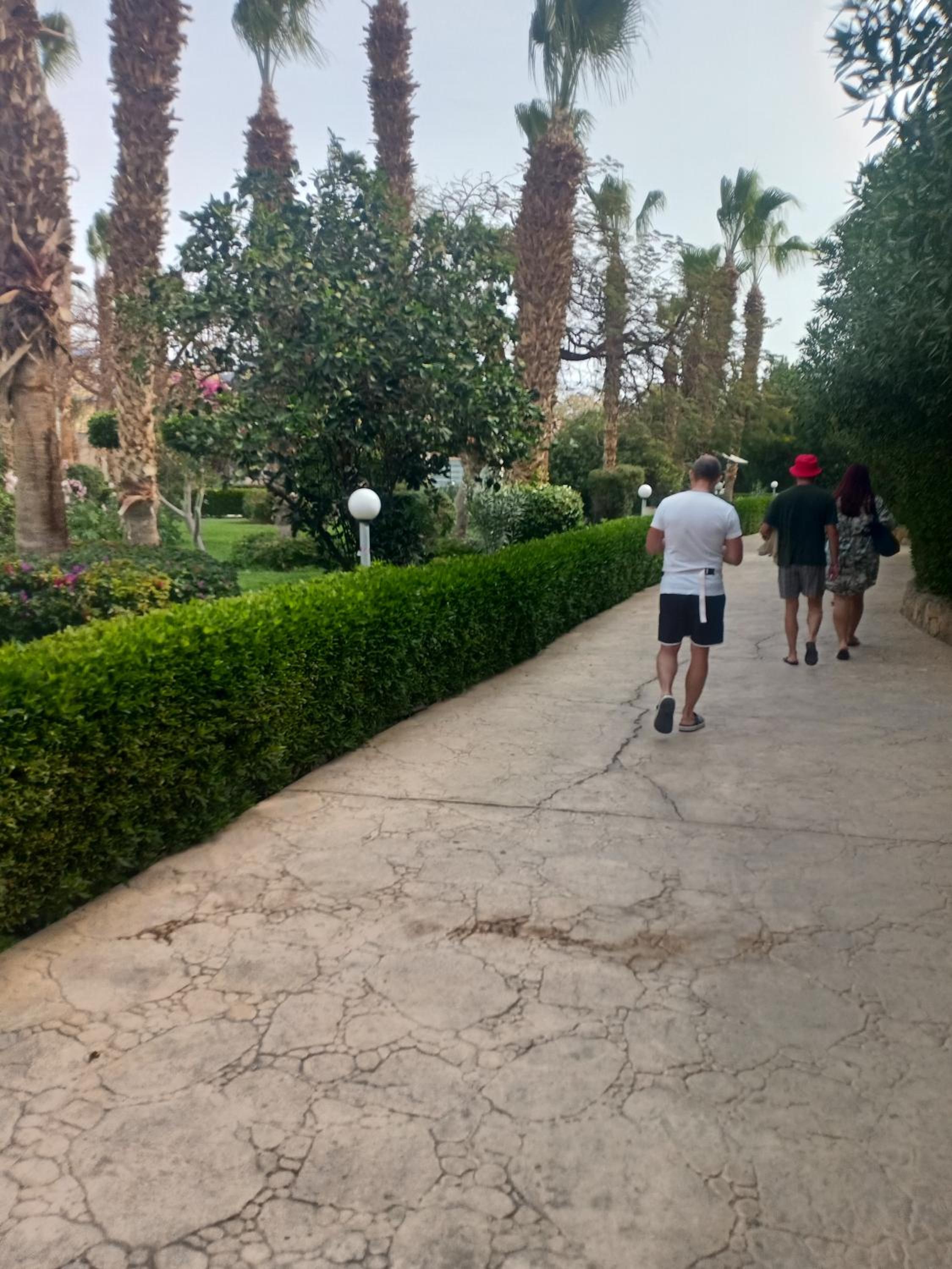 Photo 23