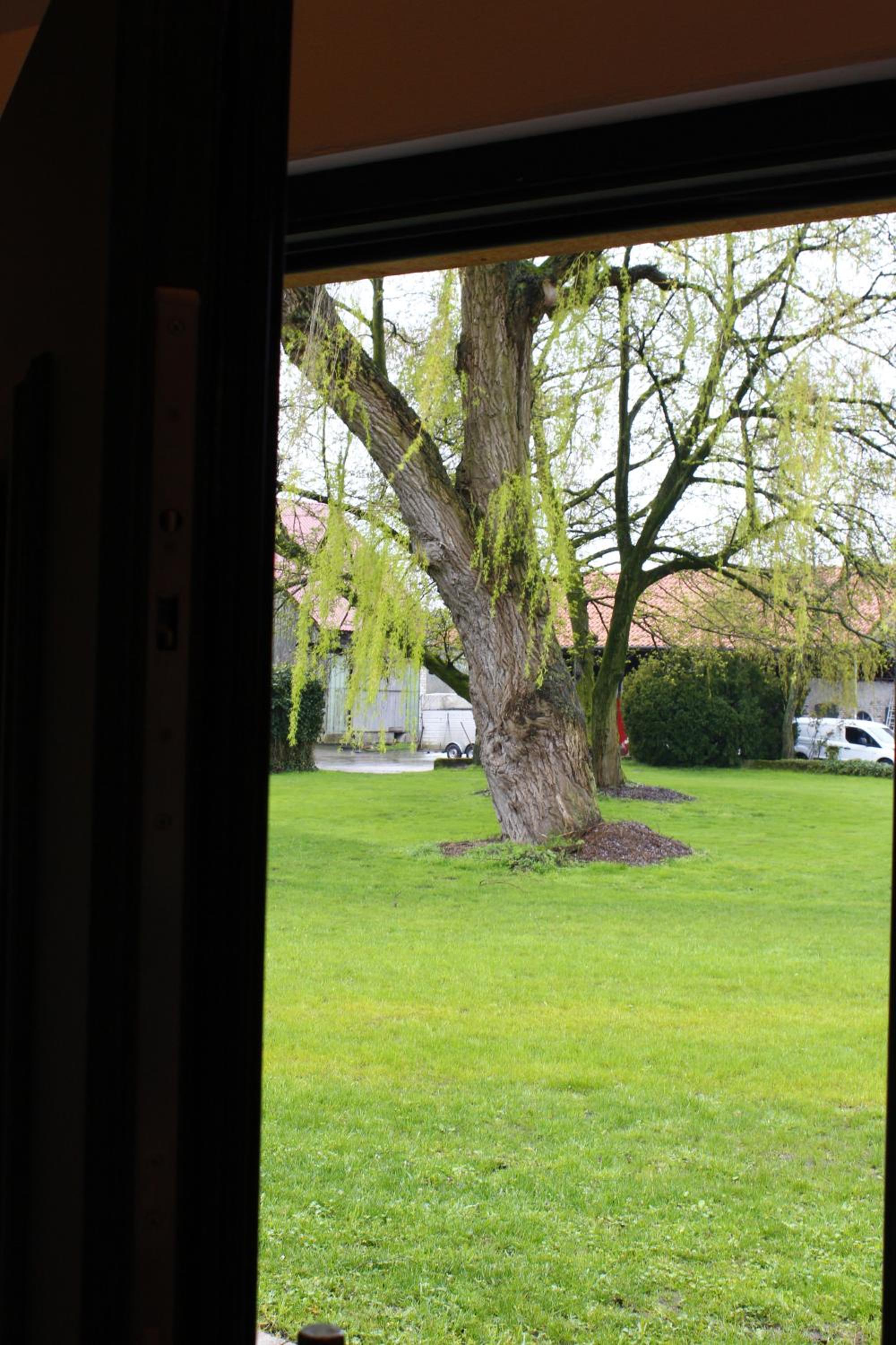 Weitblick - Ruhepol in münsterländer Parklandschaft