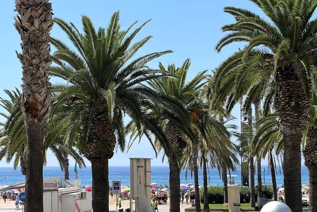 Primera línea de MAR con jardín view 3