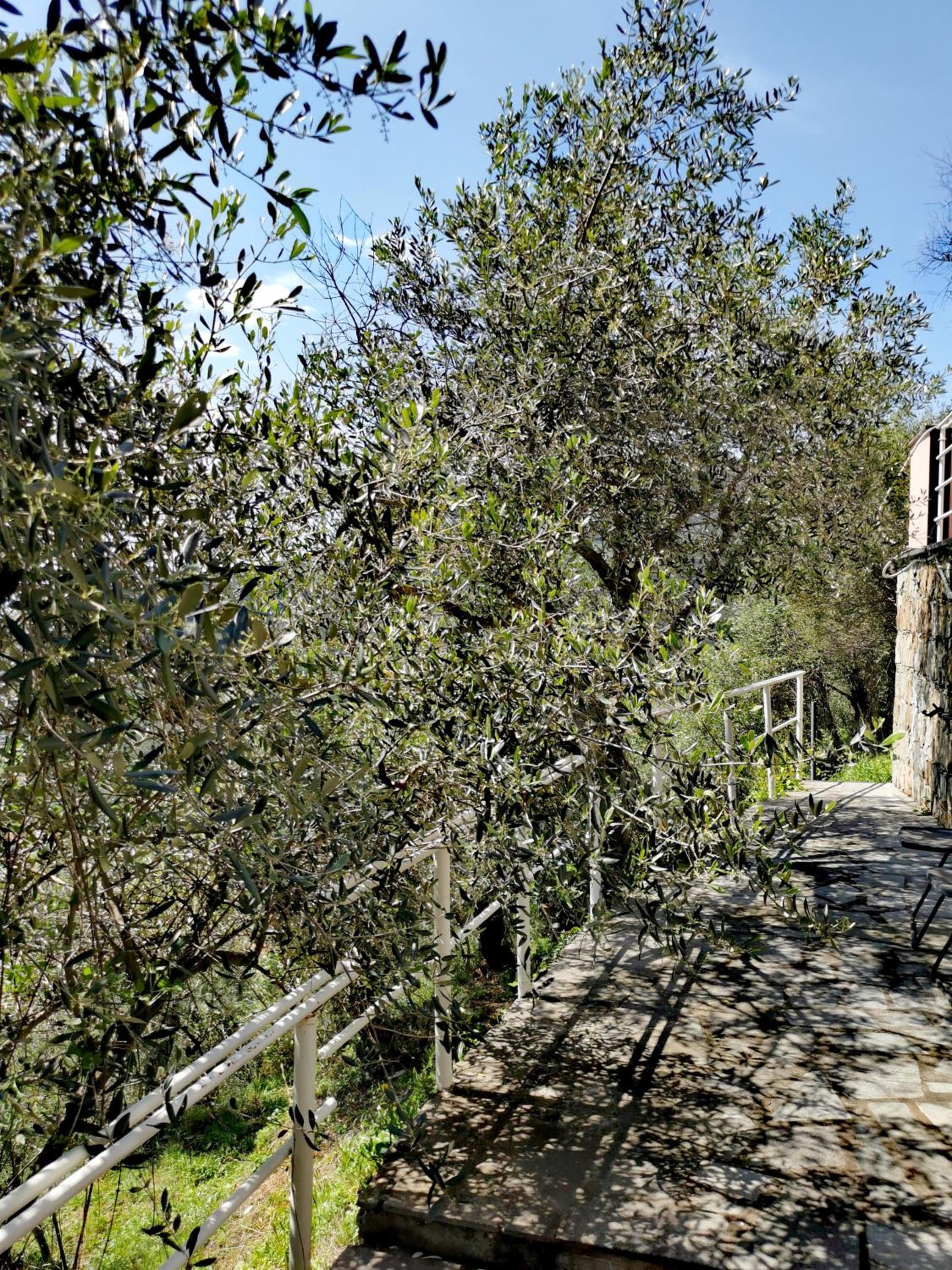 Casun du Menegottu view 3