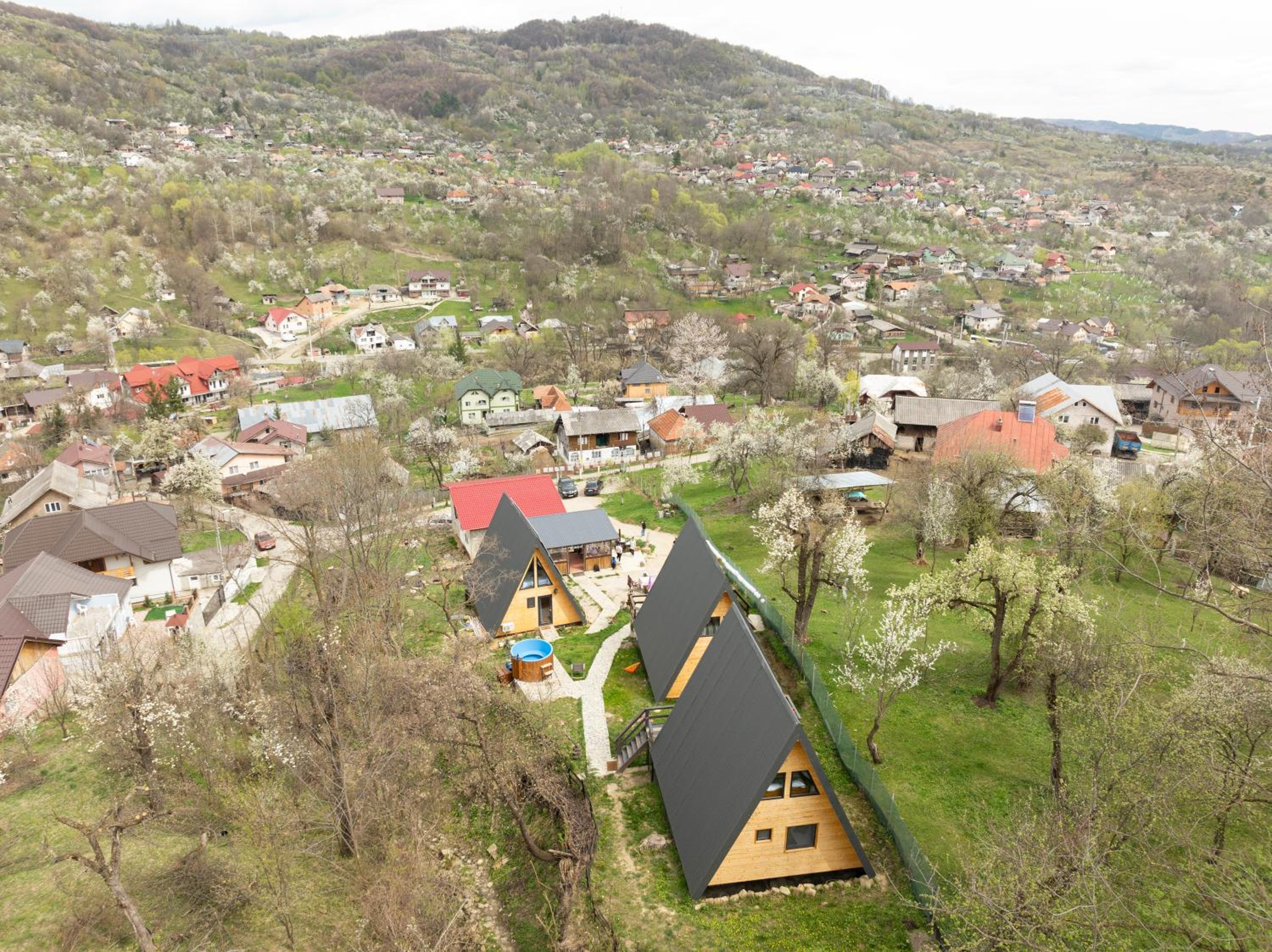 CARPATINA RUNCU