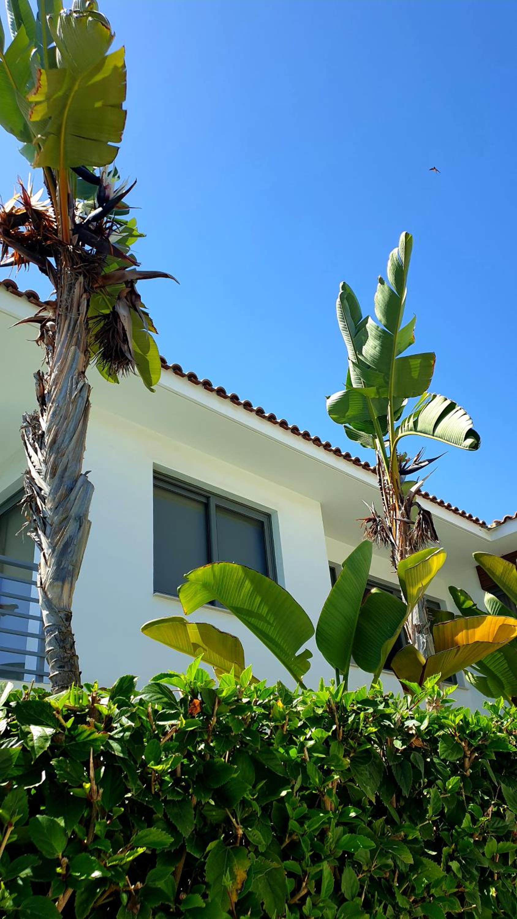 Luxury Beachfront Villa With Private Pool, Private Beach, Yoga & Sea Adventures