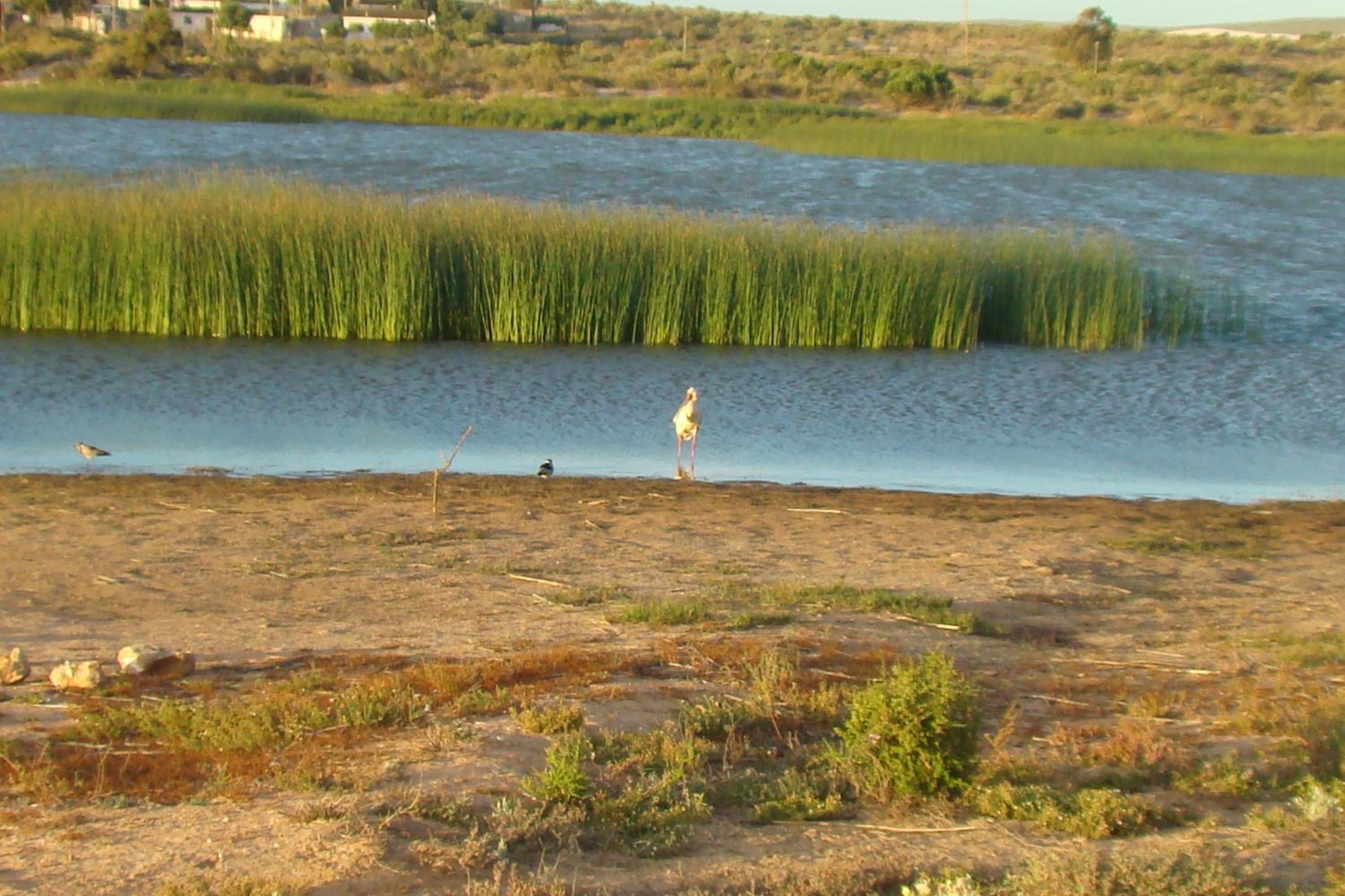 Photo 26