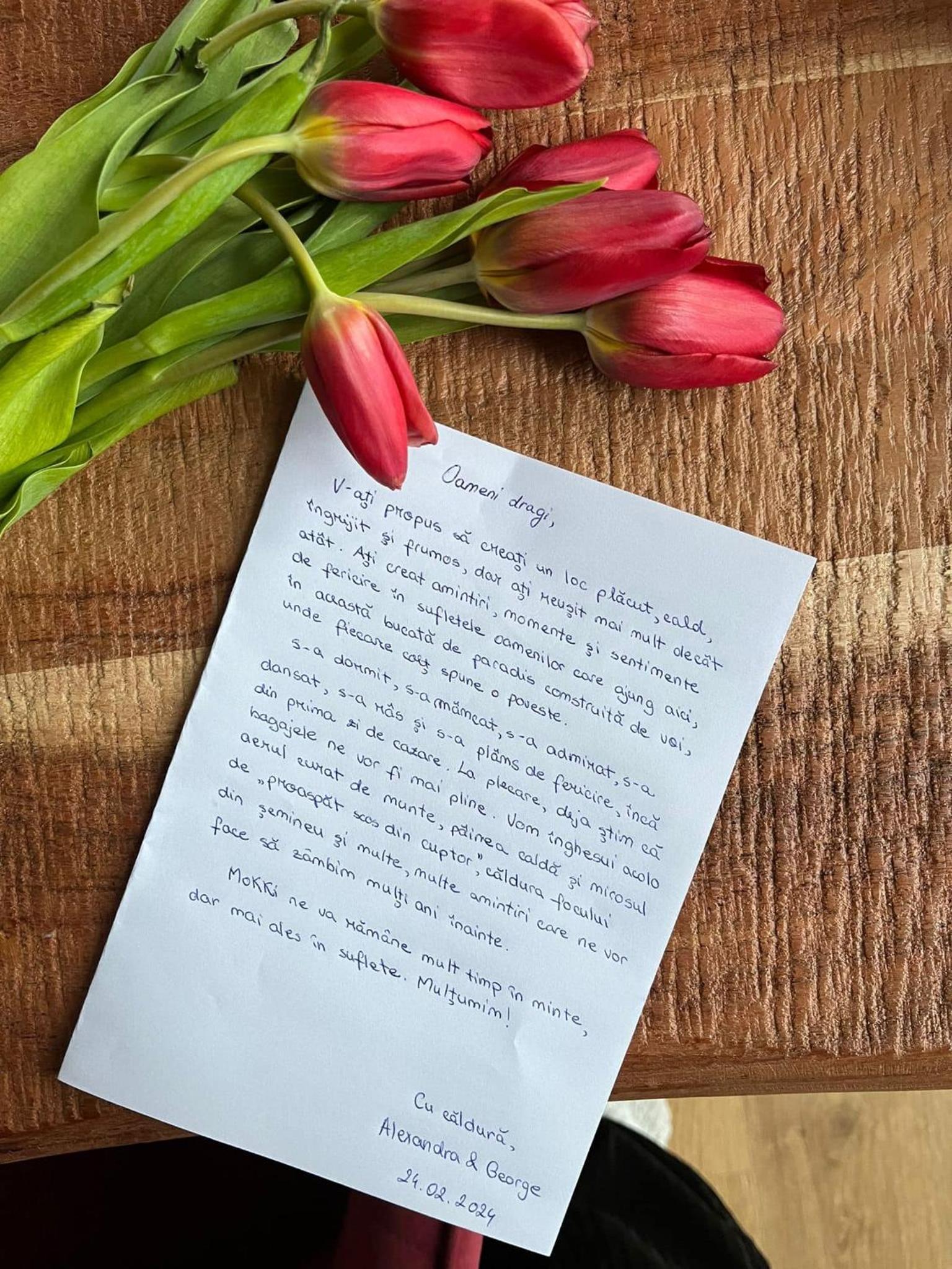 Mokki - A-frame cozy în Apuseni