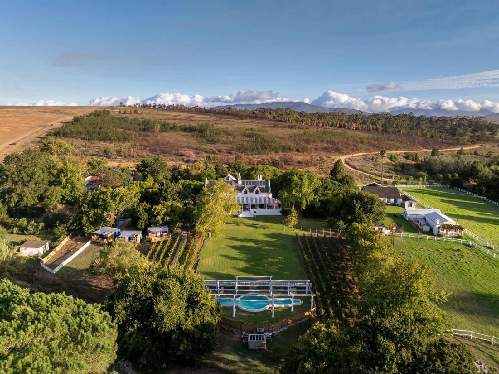Caledon Grace Guesthouse view 5