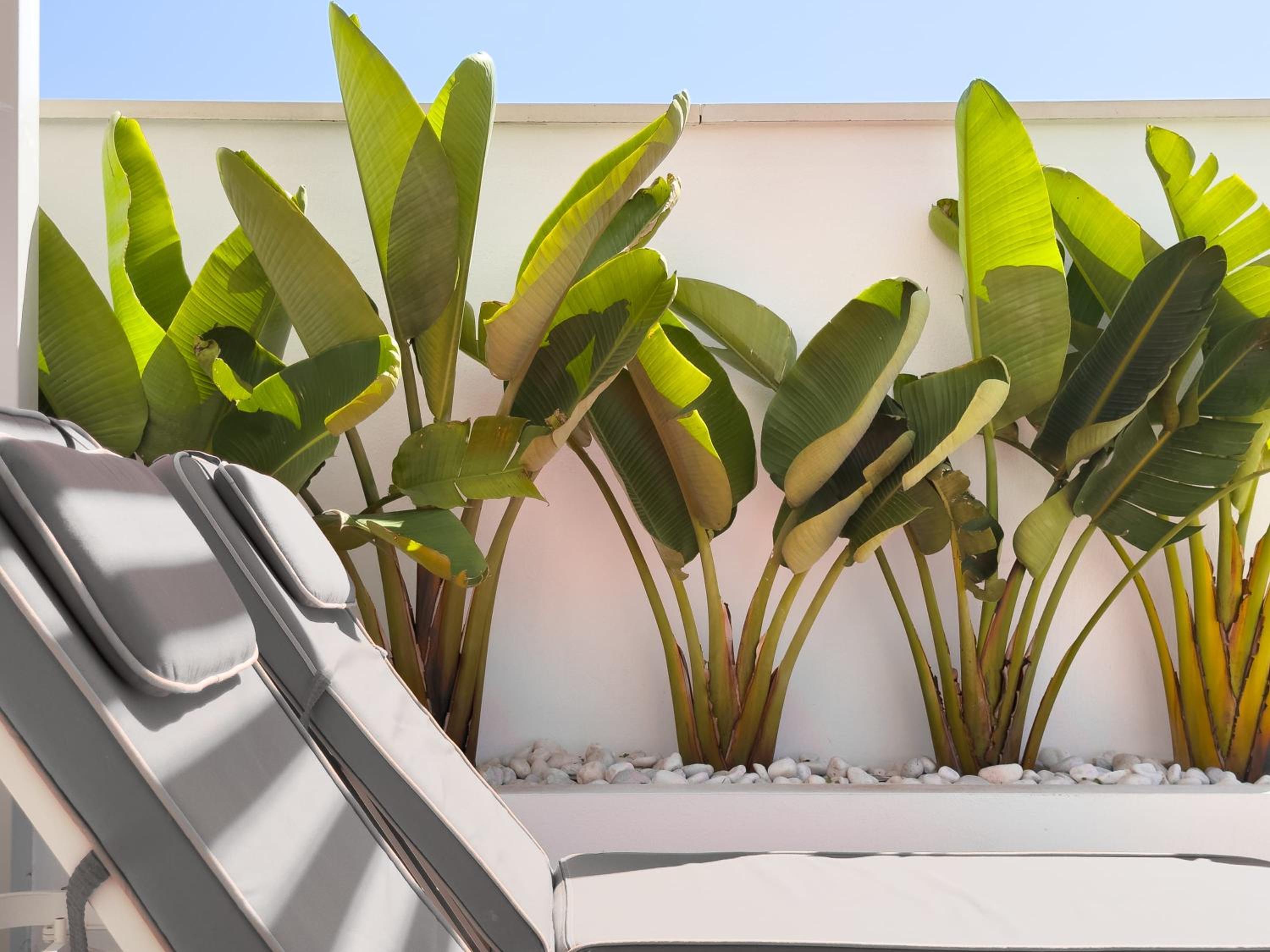 BEACHFRONT LUXURY ROOFTOP PENTHOUSE WIFi POOLS GRILL I O NAC PADDLE