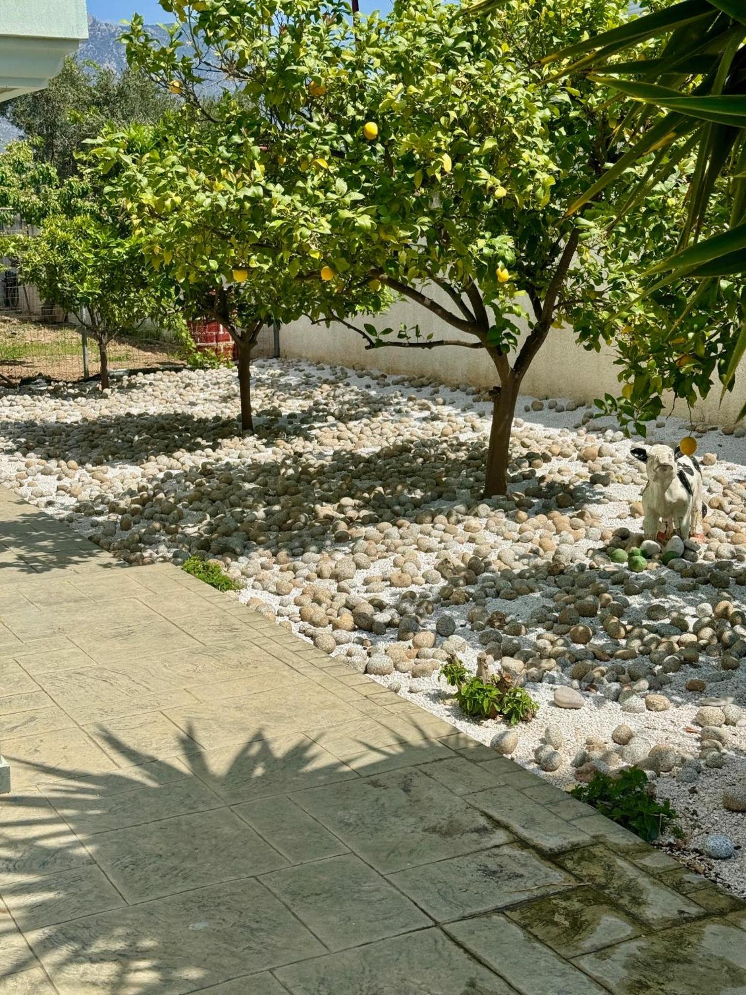 Villa Korina