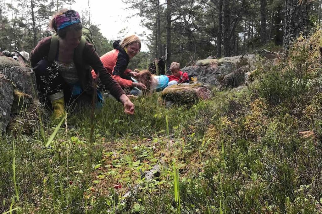 Bastukleven, stuga i Hamnsundets skärgårds idyll