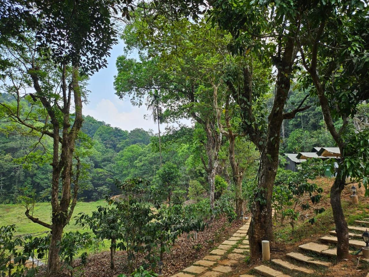 Three Hills Resort & Spa, Coorg
