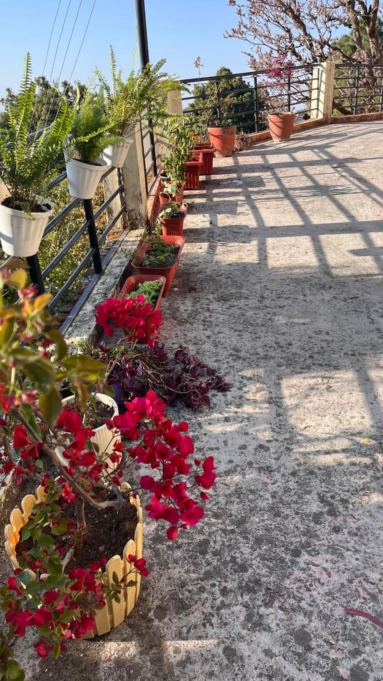 The Umri Lansdowne, 4-bedroom homestay view 4