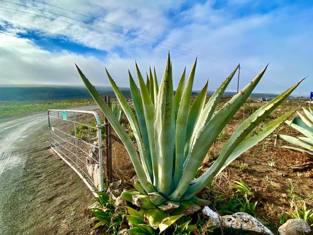 Middelfontein Farm
