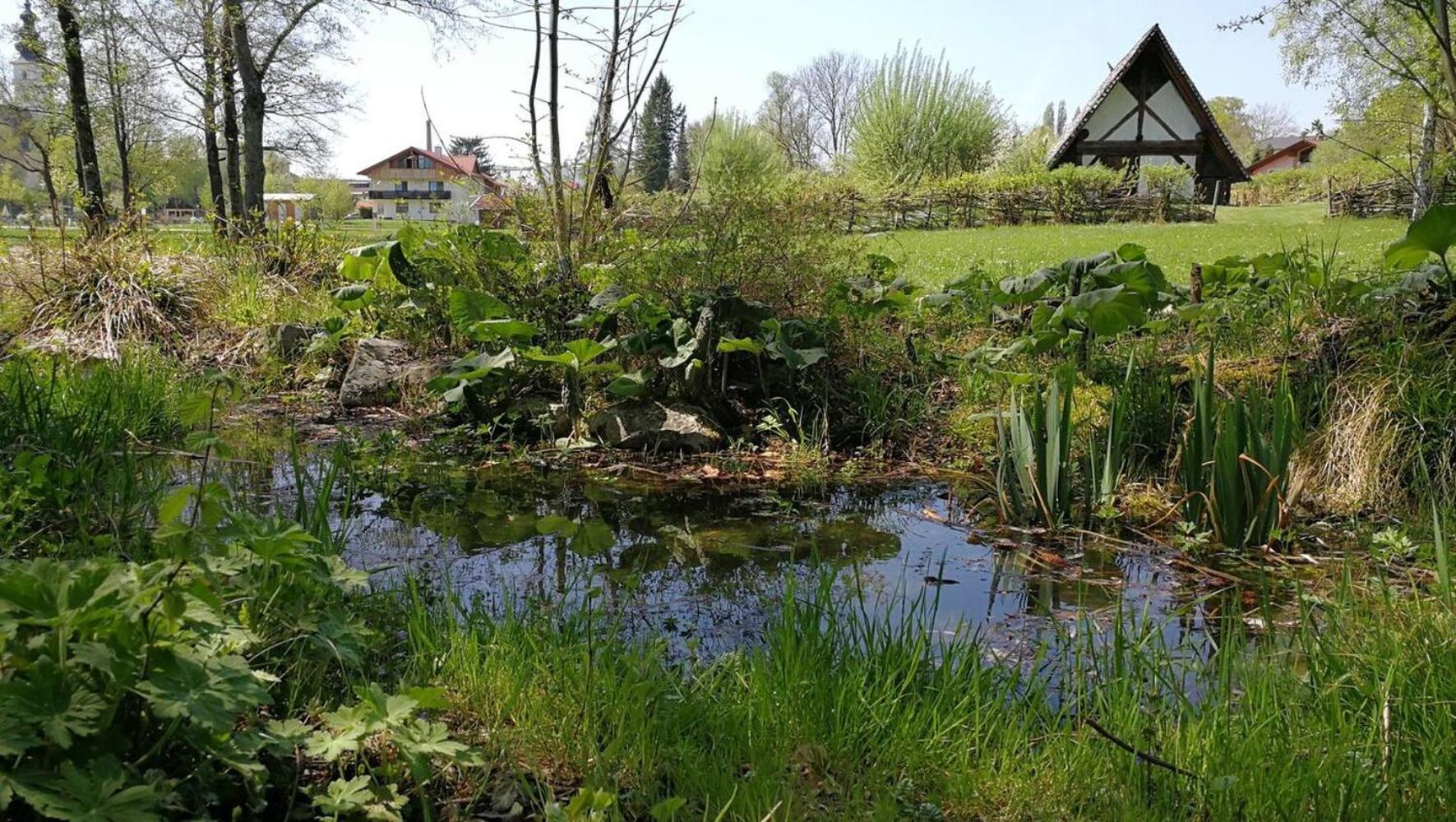 Freistehendes Haus-wenige Minuten zum Waginger See
