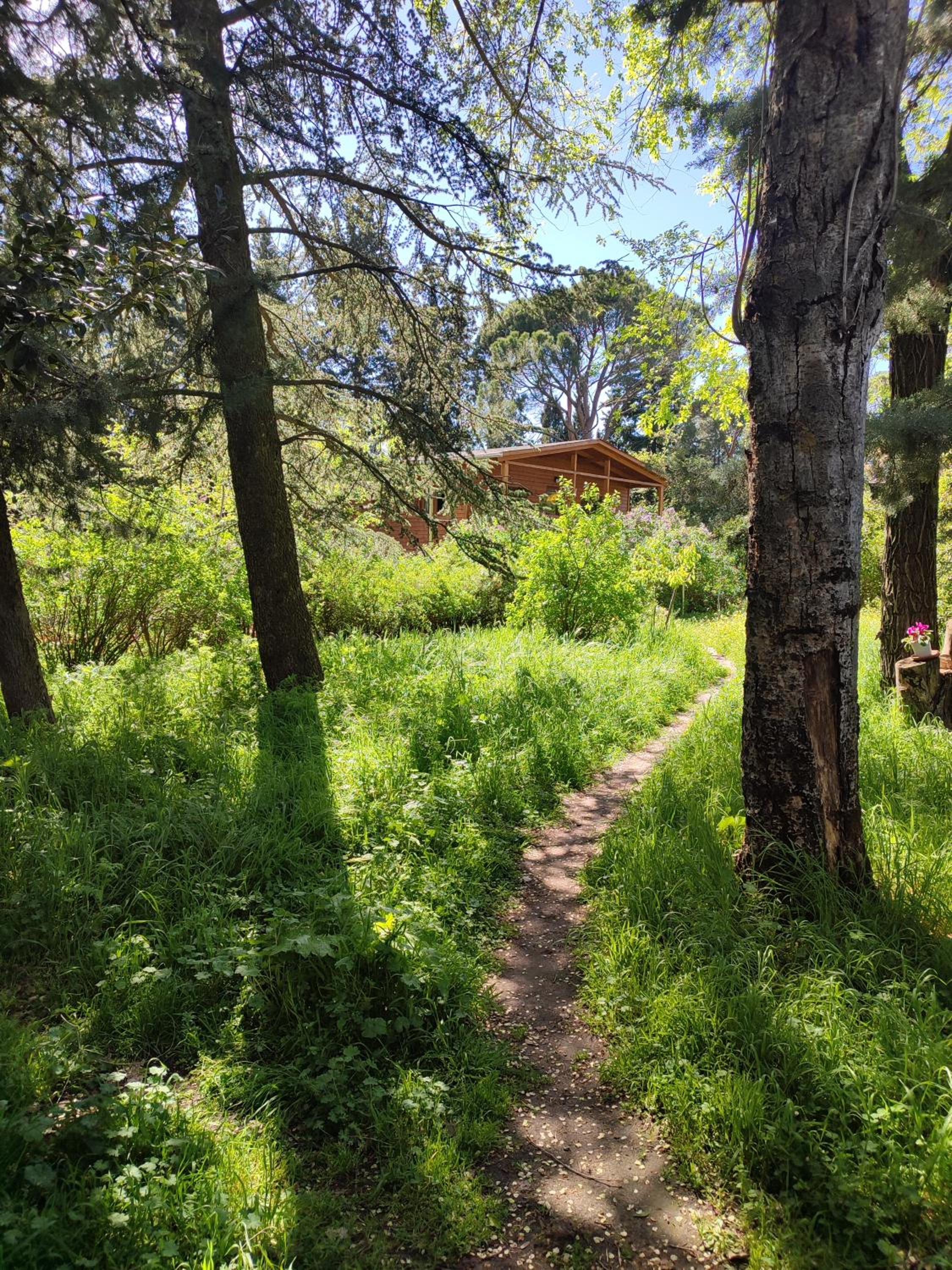 Preciosa cabaña con jardín y barbacoa