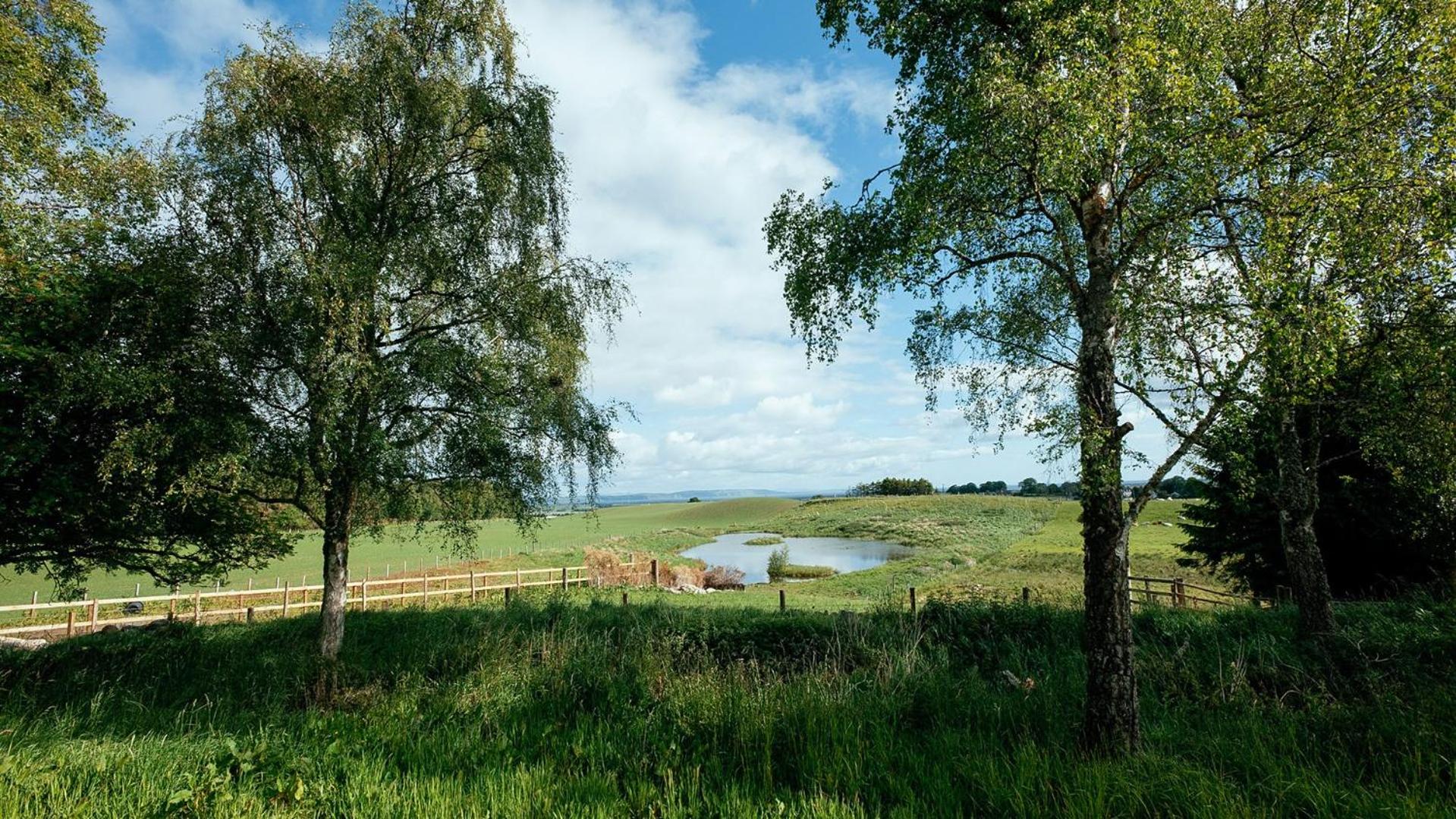 Lodges at the Mains