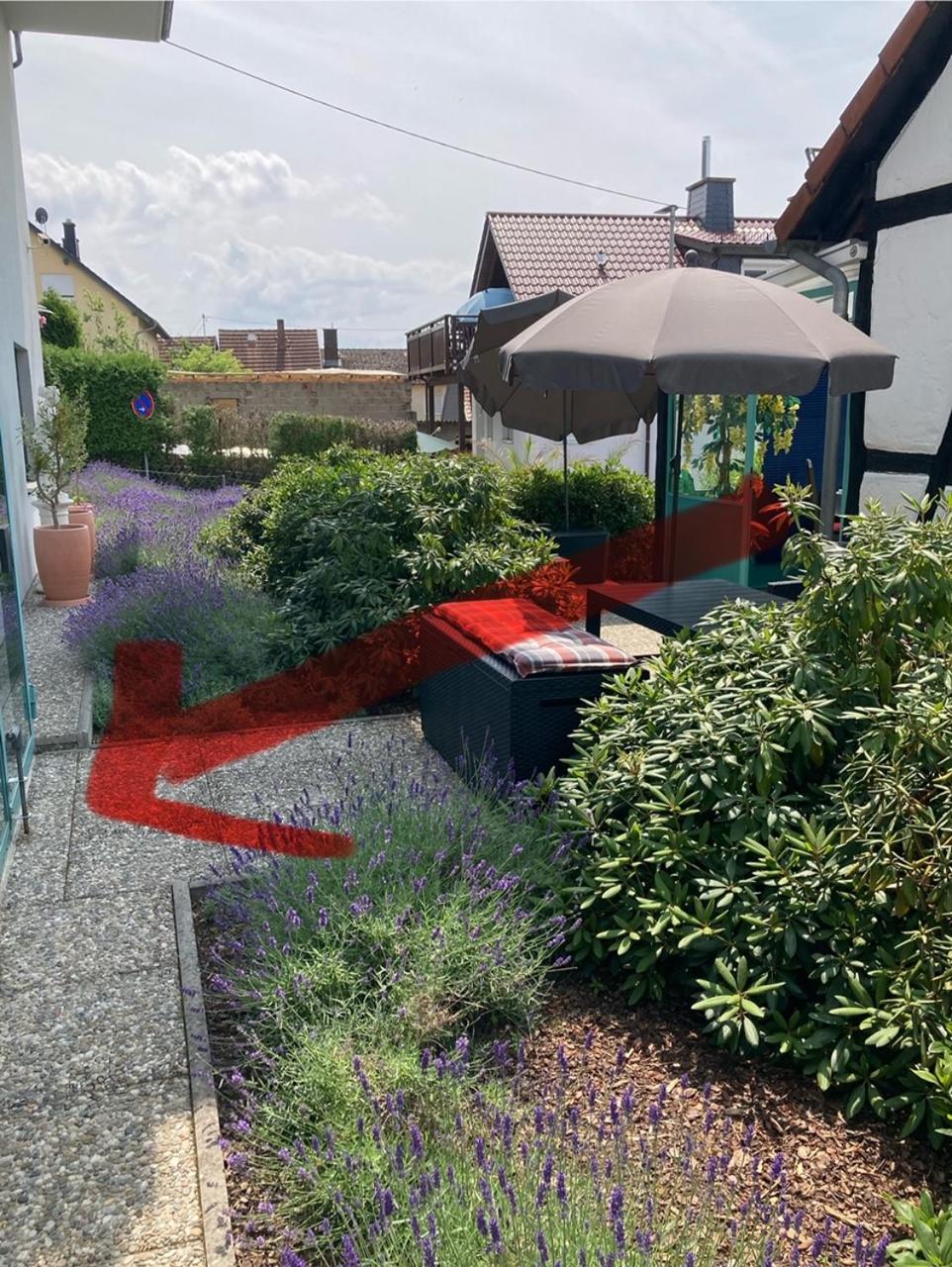Apartment mit Wintergarten und Terrasse in ruhiger Lage im schönen Taunus