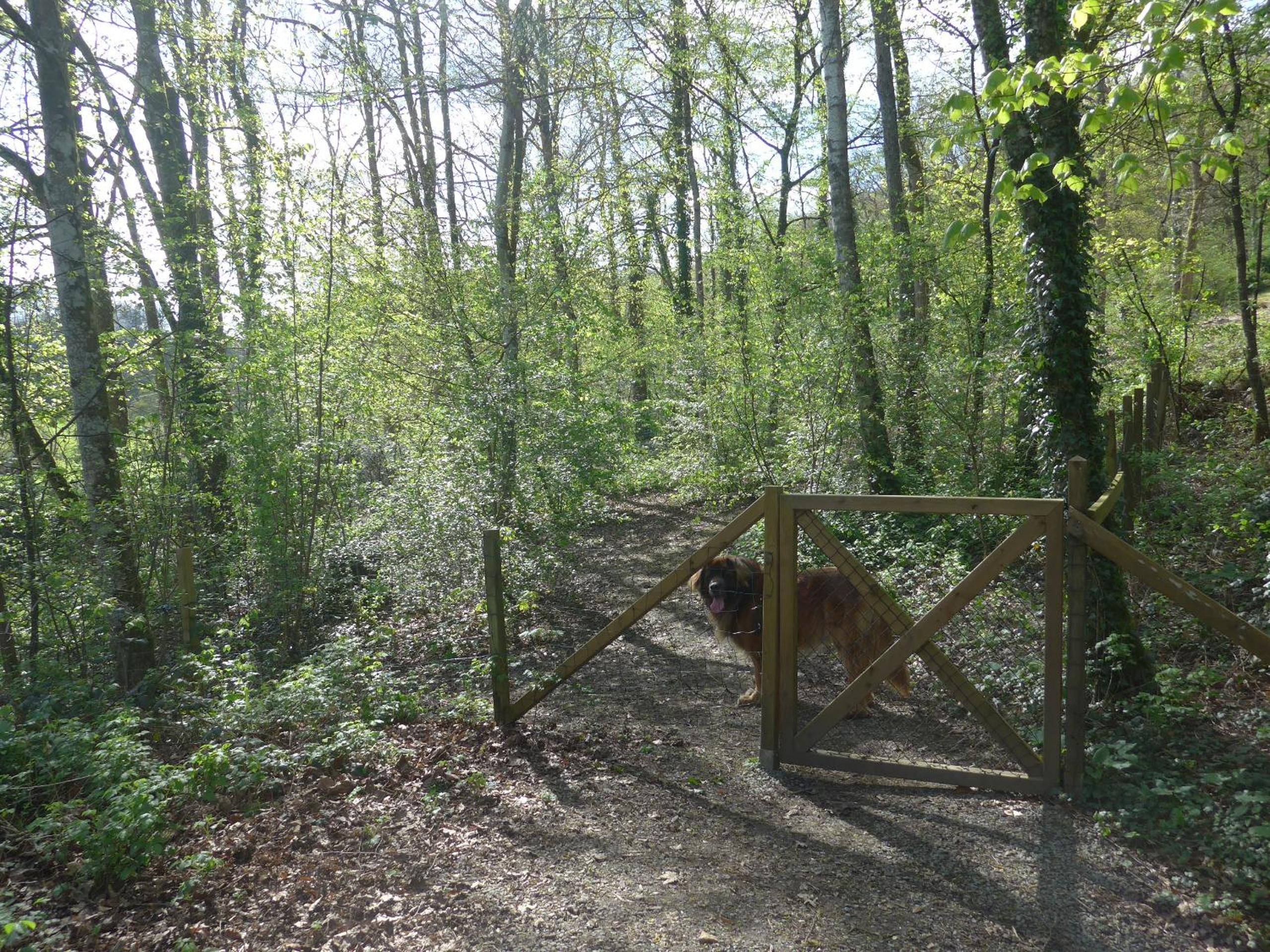 Woodhouse Durbuy nr. 141