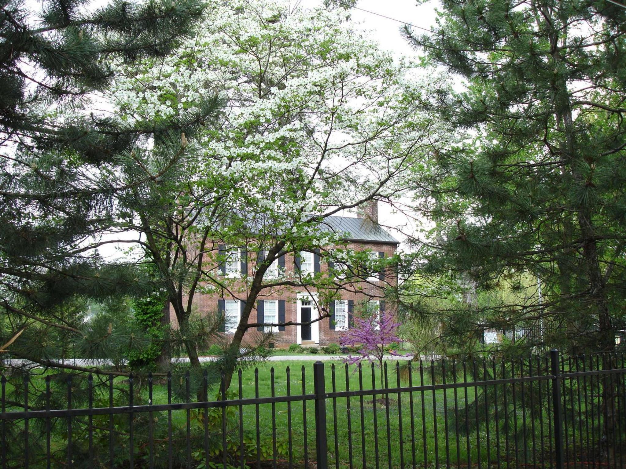 Photo 20