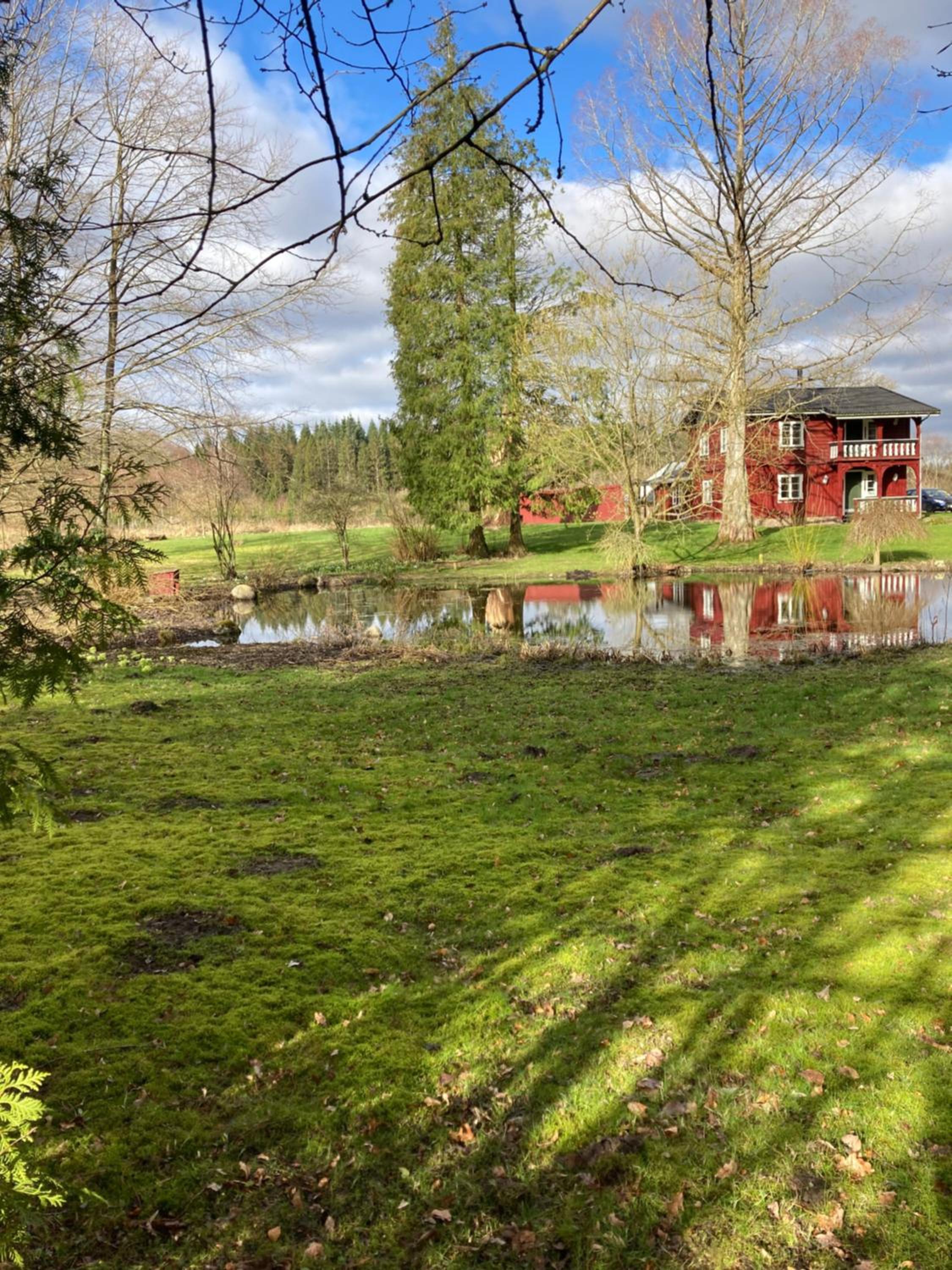 Skovhuset søværelset