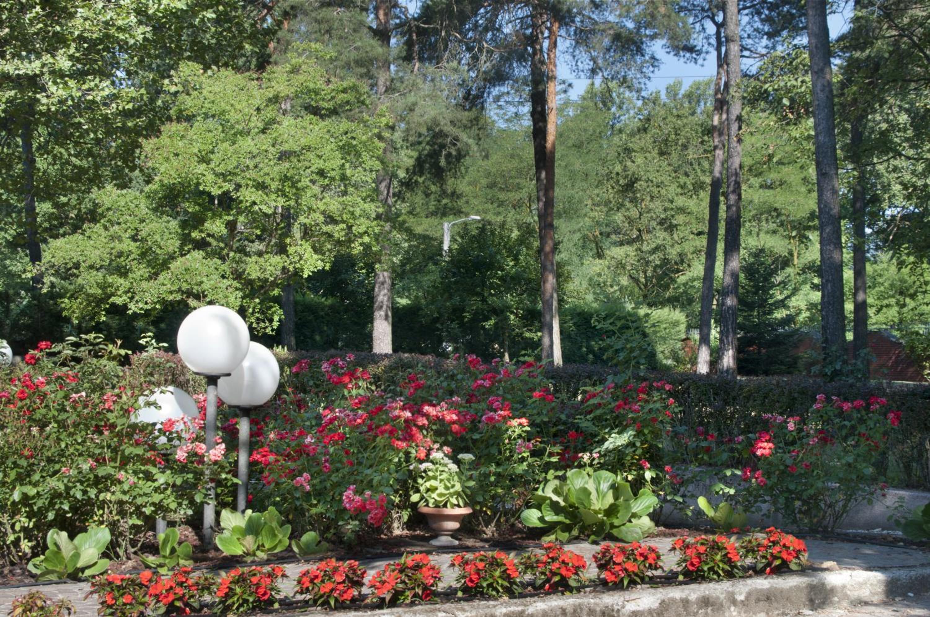 Bed&Garden