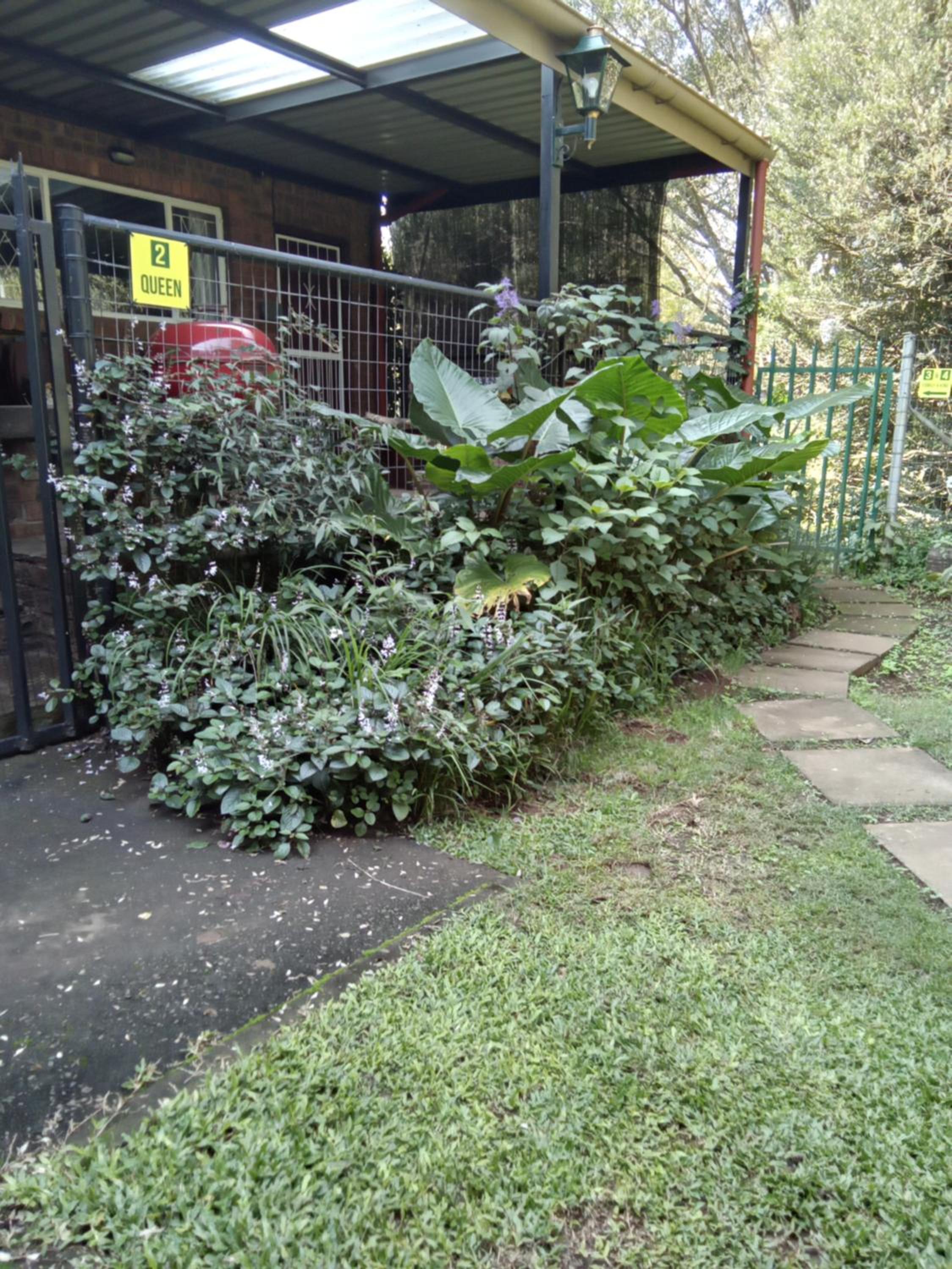 Photo 15