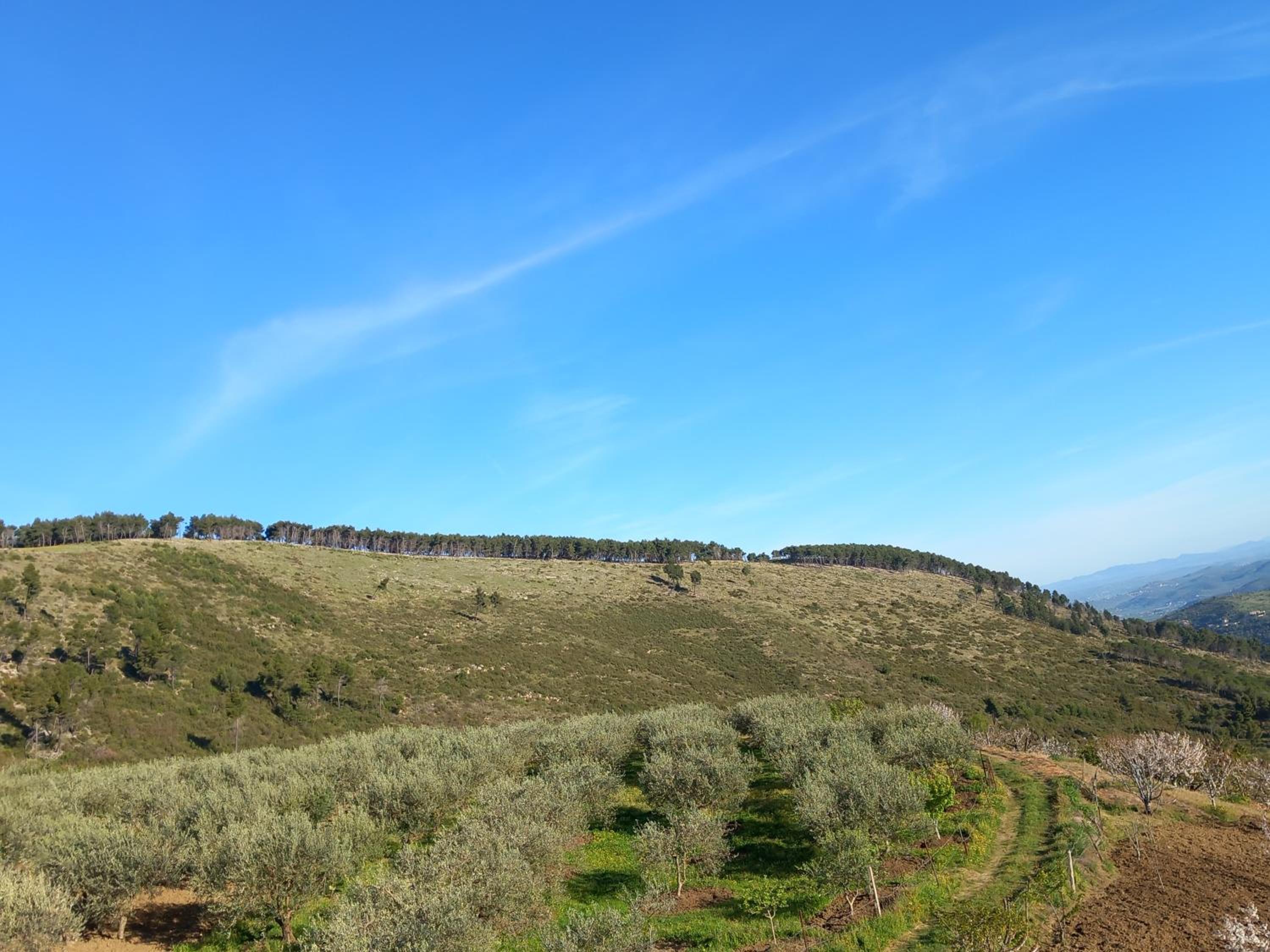 Vila Dean