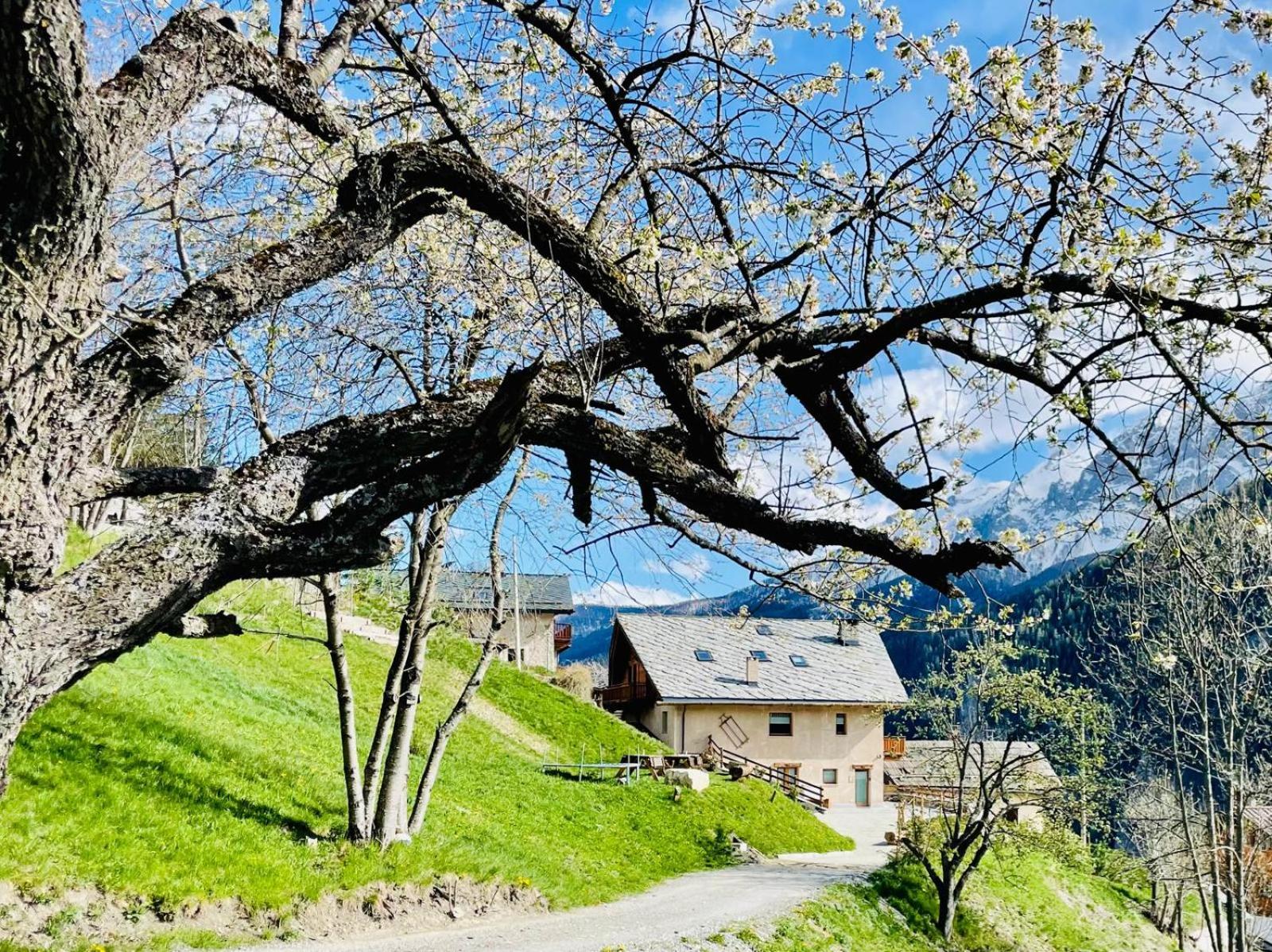 La Maison - Il Riparo del Cervo