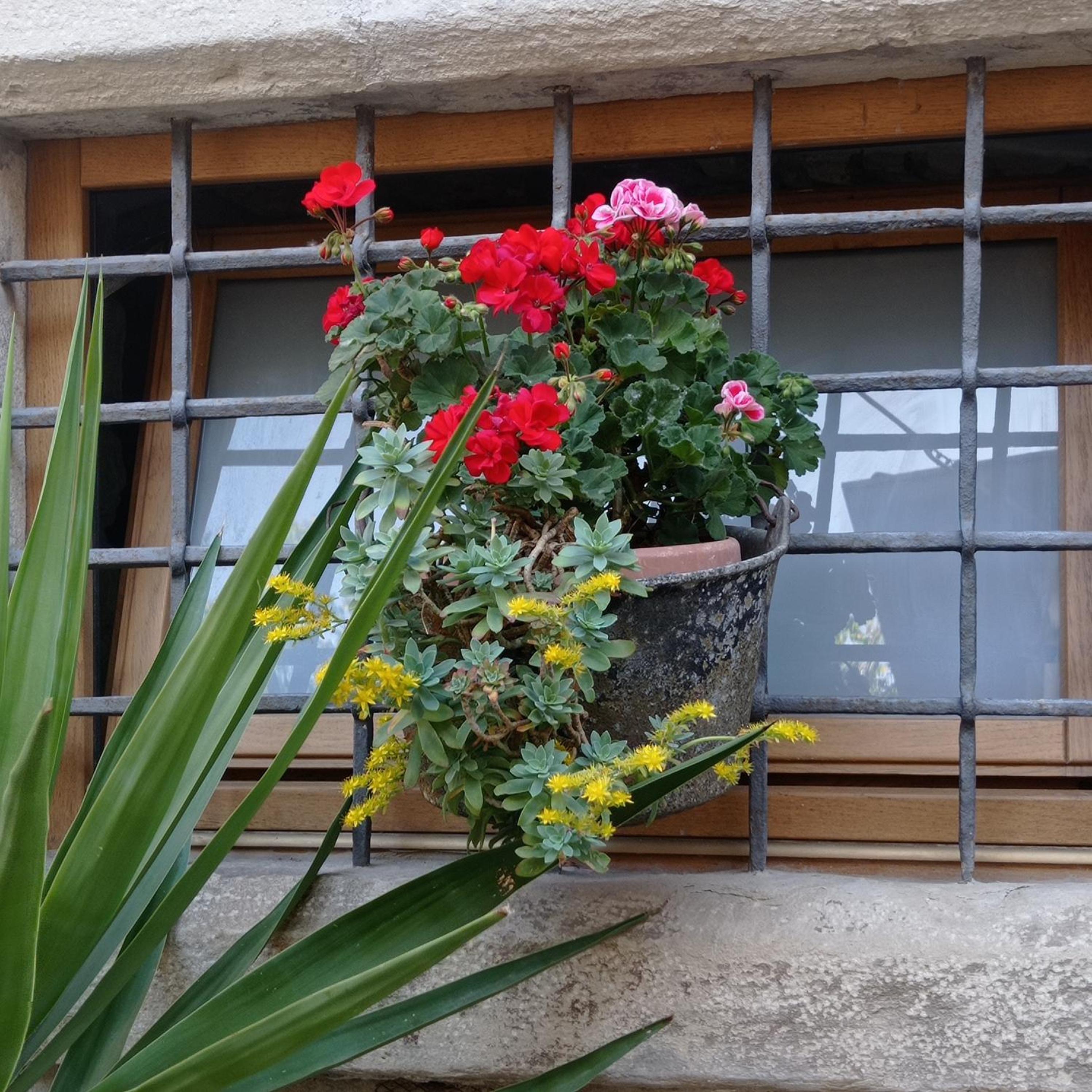Casa Vacanza Gaia view 5